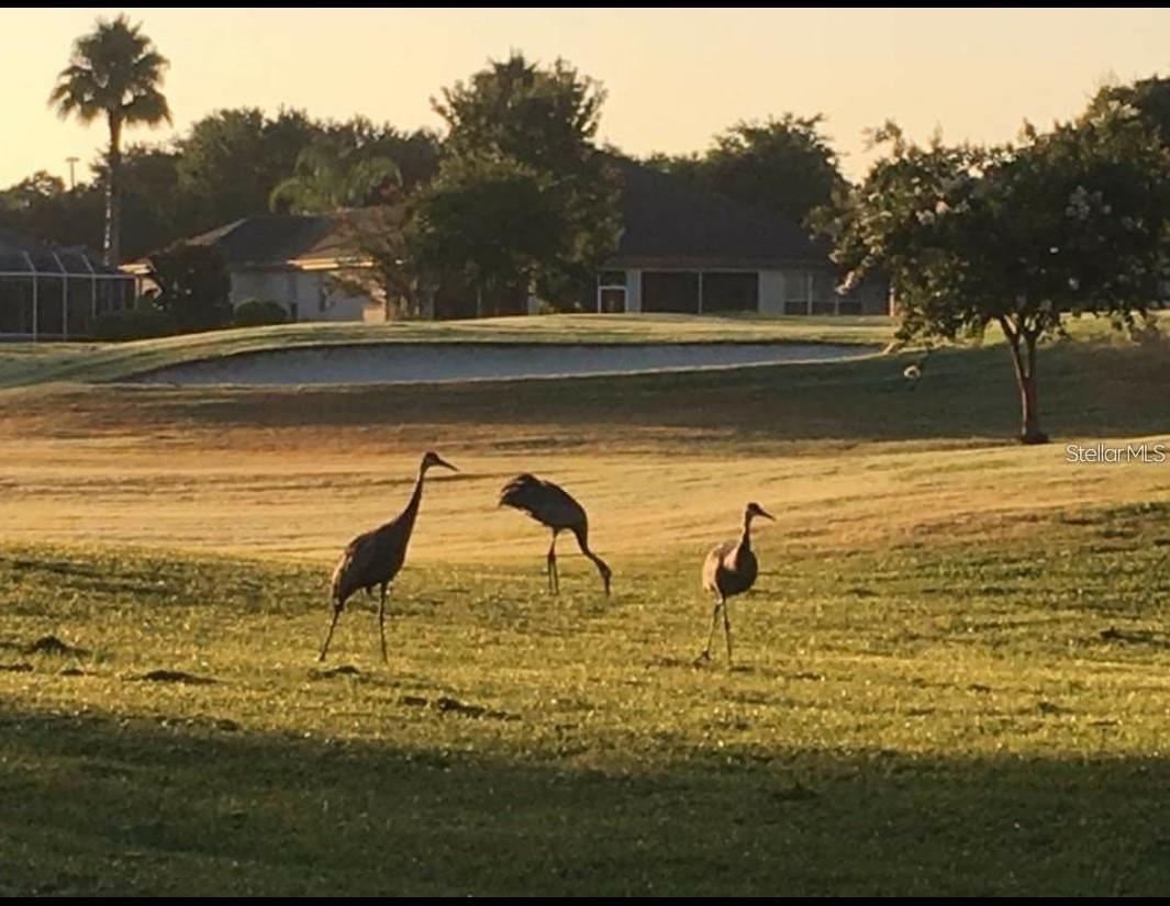 SPRUCE CREEK GC - Residential