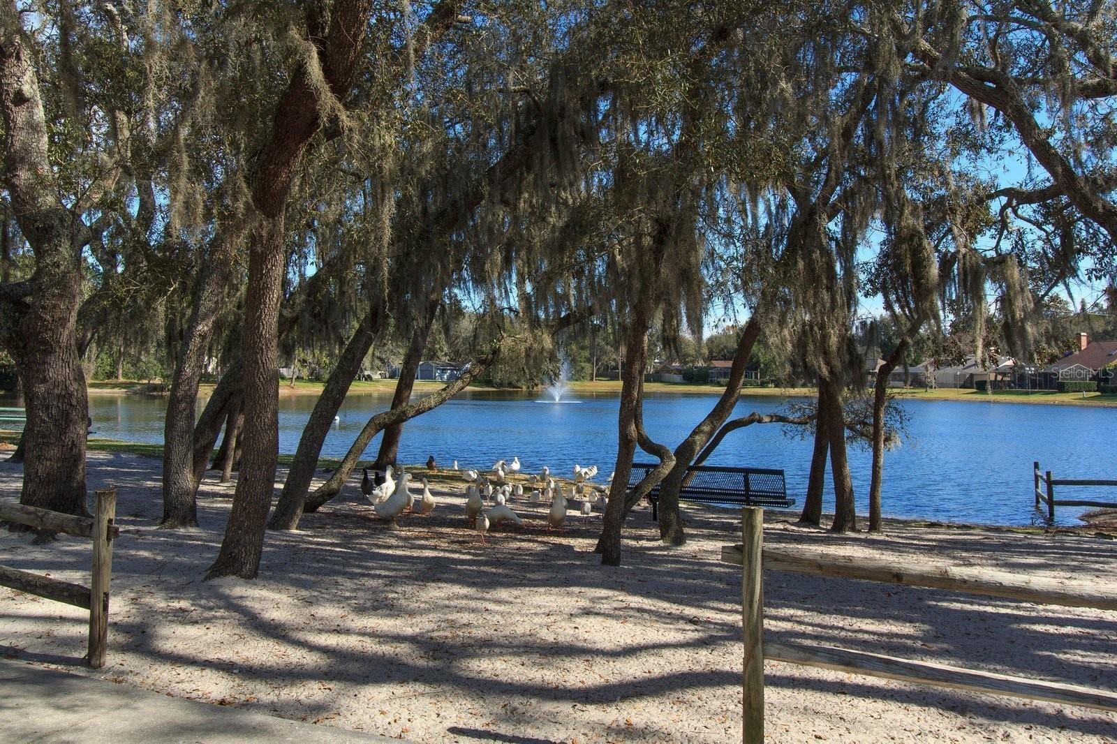 GOVERNORS POINT PH 2 - Residential