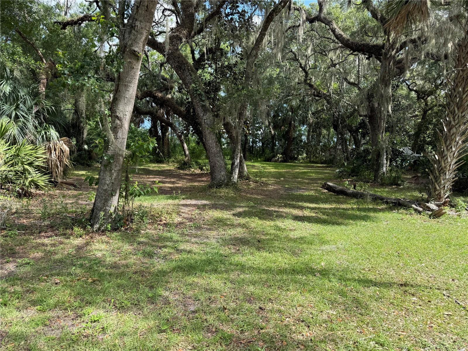 Two beautiful half acre+ (mol) lots, purchase the both for 111 feet along a deep water canal with direct access to the Tsala Popka Chain of Lakes.  5217 E Parson Point Rd can be purchased separately for $80,000.  Build your dream house then ski every day…
Quiet Neighborhood on a dead end street 
The Lots have been cleared and have beautiful mature oaks, magnolias and other hard wood trees.  Most of the Property is fenced.
5217 E Parsons Point Rd can be purchased separately for $80000…5191 E Parsons Point Rd is available only as part of the double lot sale.