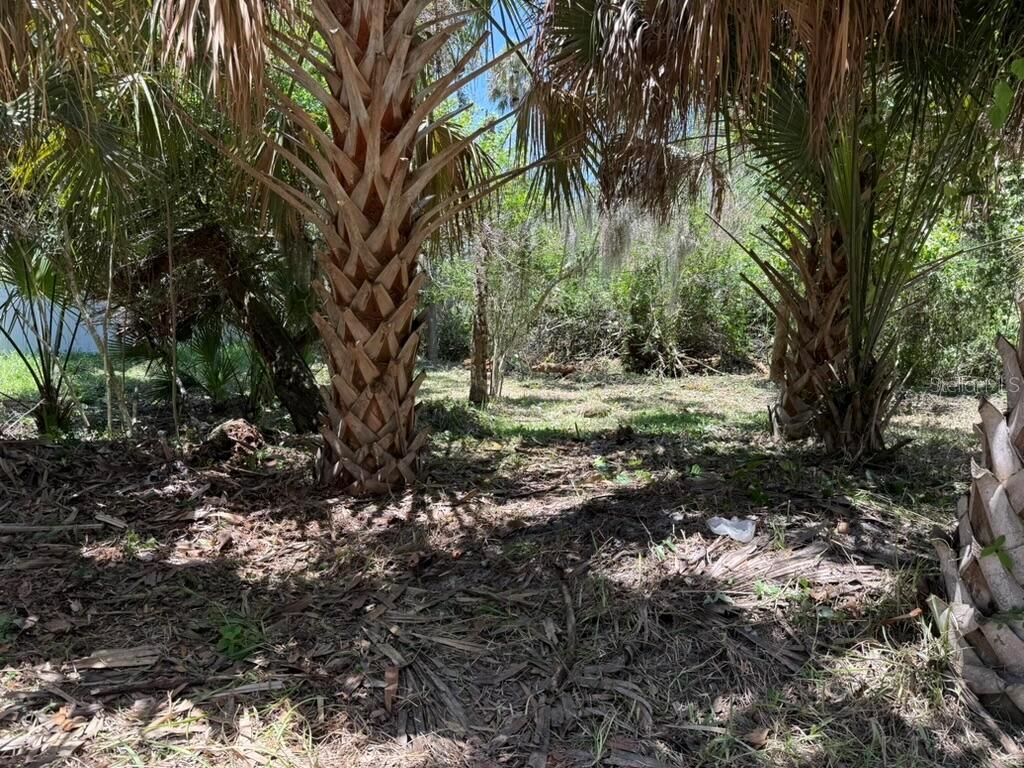 PALM HARBOR SUB - Land