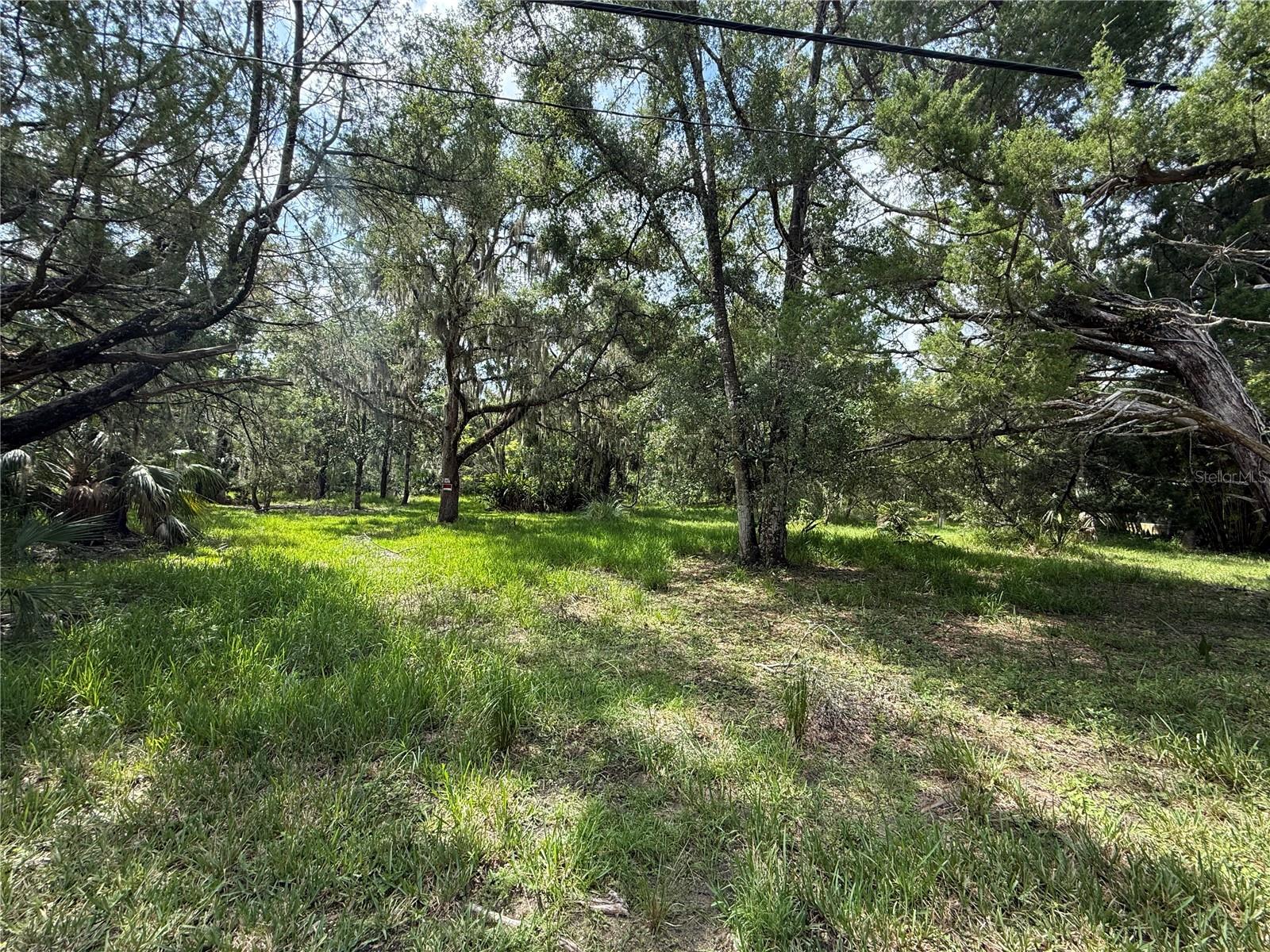 MASON PARK UNIT 01 - Land