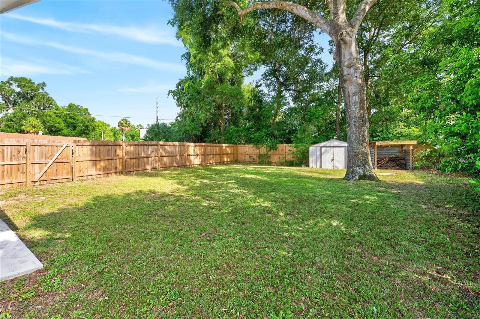 MOUNT DORA - Residential
