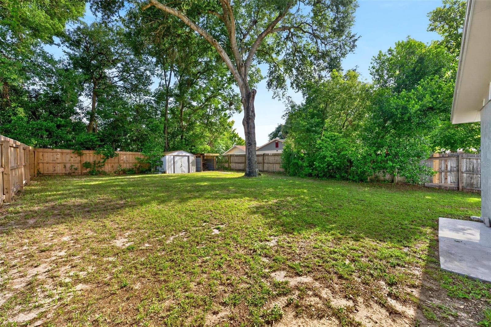 MOUNT DORA - Residential