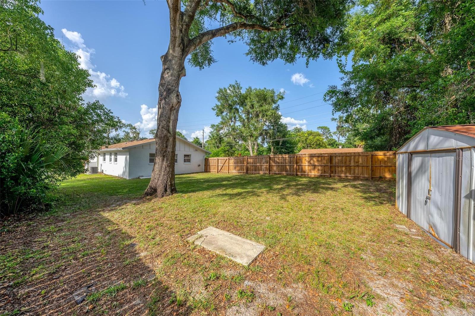 MOUNT DORA - Residential