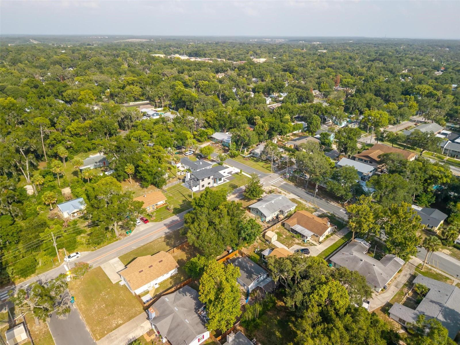MOUNT DORA - Residential