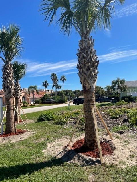 LIGHTHOUSE SHORES - Land