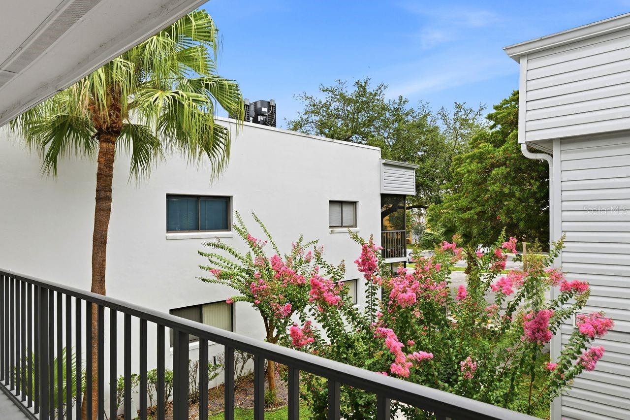 LAKEVIEW CONDO AT LAKE FREDRICA - Residential