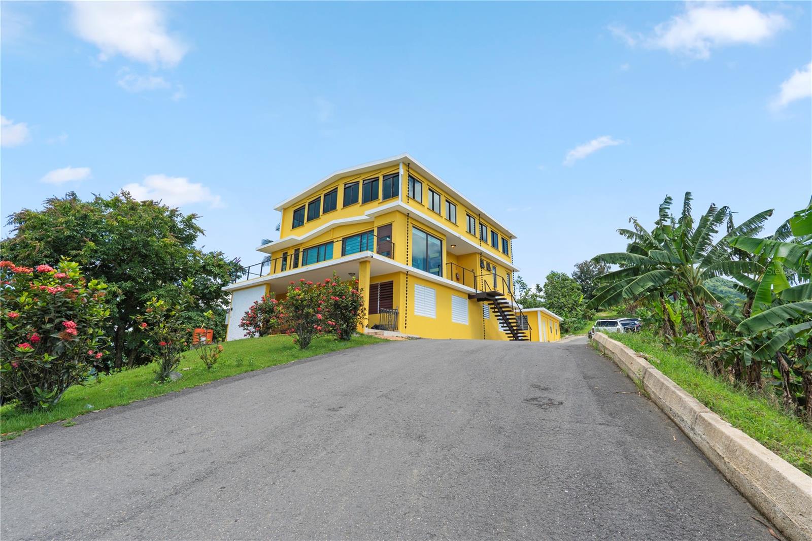 Nestled in the lush mountains of Jayuya—Puerto Rico’s coffee heartland—Finca Hoyos Planes is a rare opportunity to own a fully operational coffee estate that seamlessly combines agricultural tradition, business potential, and natural beauty. 

Spanning 14 contiguous parcels totaling approximately 104 acres, this extraordinary property features 25–30 acres planted with premium Arabica coffee, nourished by Jayuya’s rich volcanic soil and ideal microclimate. Beyond the fields, the estate includes all machinery and infrastructure for complete coffee production—from cultivation and processing to roasting and packaging—allowing the next owner to continue a vertically integrated operation from farm to cup. 

The property also boasts a beautifully designed, fully equipped coffee shop with brand-new equipment, offering visitors a firsthand taste of the estate’s craftsmanship. Additional amenities include five greenhouses, a diesel generator, a 15,000-gallon cistern, and a registered water well with a 2M gallon annual franchise—ensuring operational independence and reliability. 

One of the parcels houses a three-story structure, ideal for administrative offices or on-site management, complementing the estate’s seamless business setup. 

The farm holds Bonafide, Beneficiado, and Torrefacción licenses, as well as authorization to sell in local farmers’ markets, positioning it as a ready-to-operate and scalable agribusiness. Easily accessible yet tucked within the serene, misty highlands, Finca Hoyos Planes offers both commercial potential and lifestyle appeal—a place where nature, heritage, and opportunity converge.