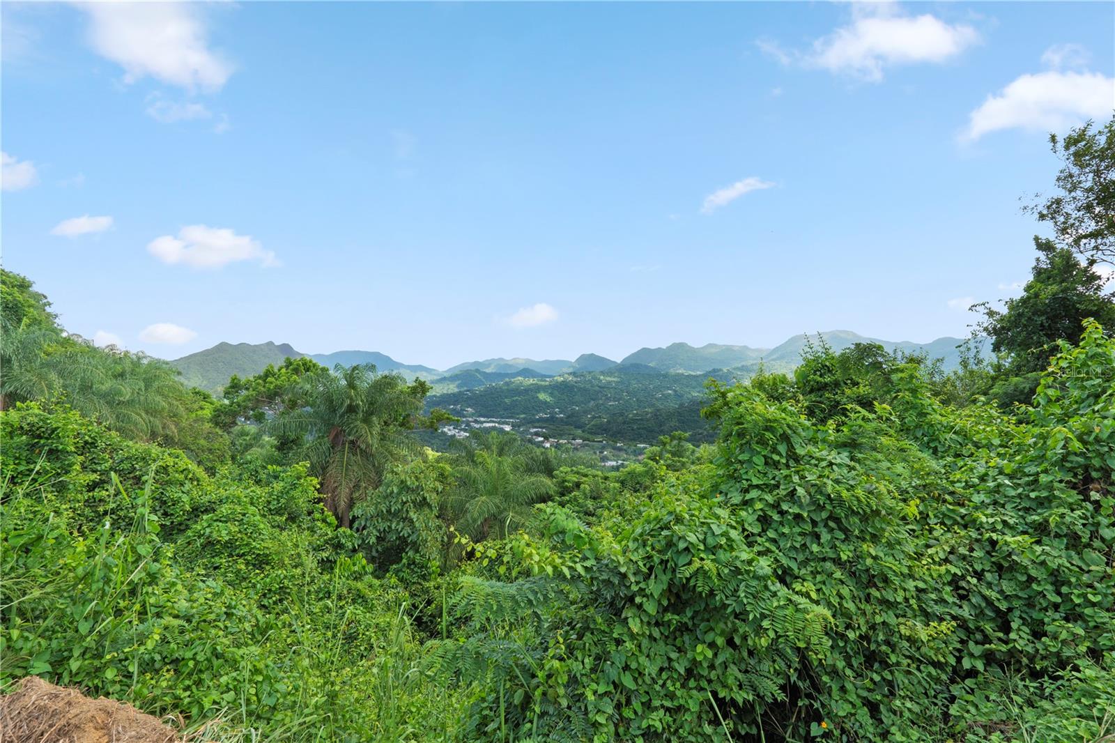BO. HOYOS PLANES - Residential
