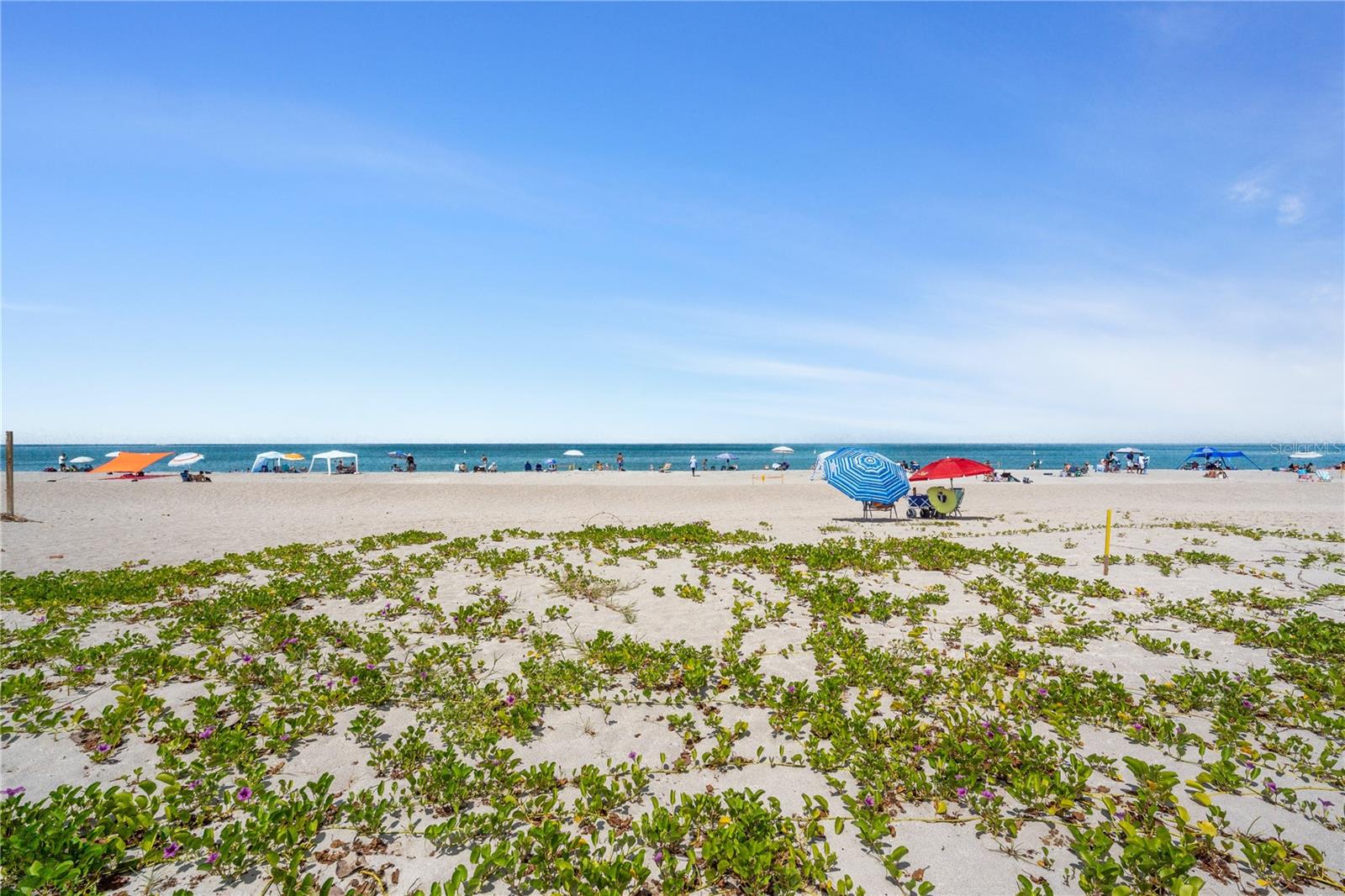 LIVE OAK LANDINGS PH 03 - Residential