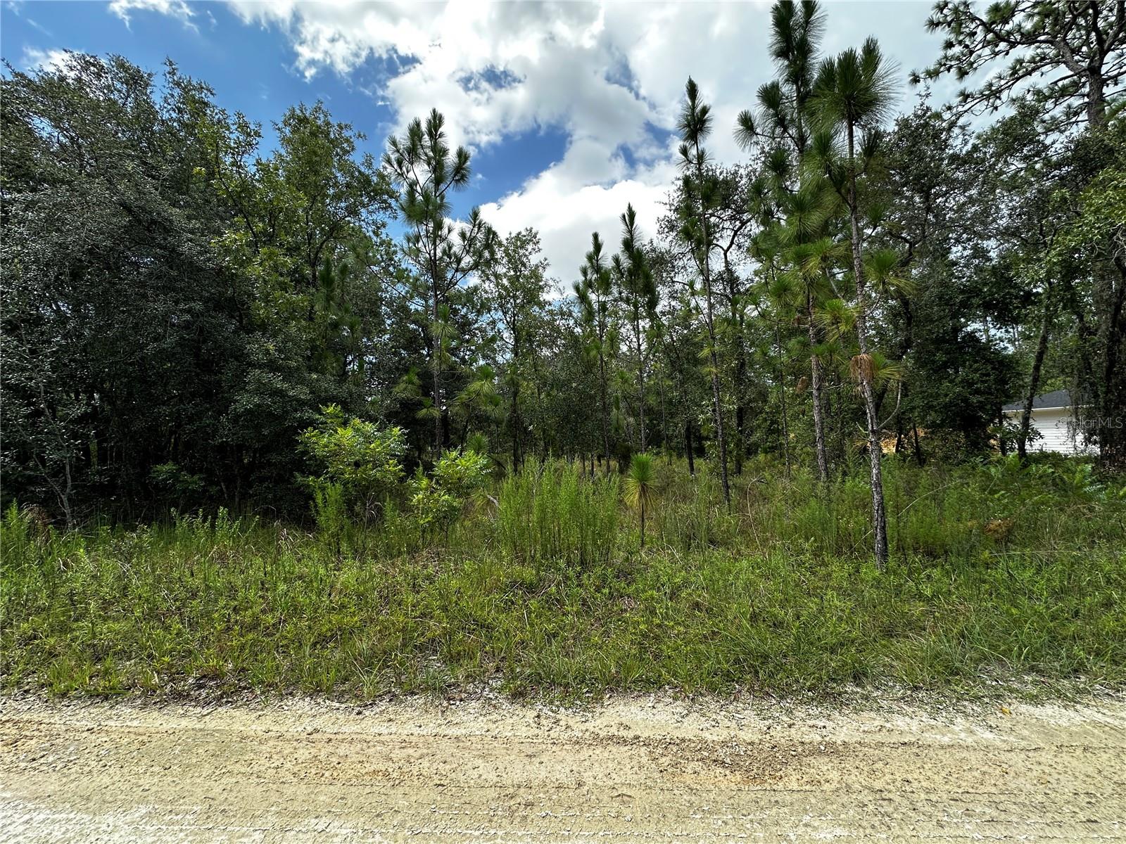 WILLISTON HIGHLANDS GOLF & COUNTRY CLUB ESTATES BUILDING LOT. Discover the possibilities with this 0.23 acre homesite in the Williston Highlands Golf & Country Club community! Whether you're looking to build your dream home, place a new manufactured home, or invest in the growing Williston area, this property offers outstanding potential. No HOA, no flood zones and no time limits to build. Nestled in a peaceful rural setting with easy access to Williston, Bronson, and Gainesville, you'll enjoy the perfect balance of country living and everyday convenience. With Florida's Nature Coast, freshwater springs, outdoor recreation, and Gulf fishing just a short drive away, this affordable parcel is an excellent opportunity to secure your piece of North Central Florida before values continue to grow.