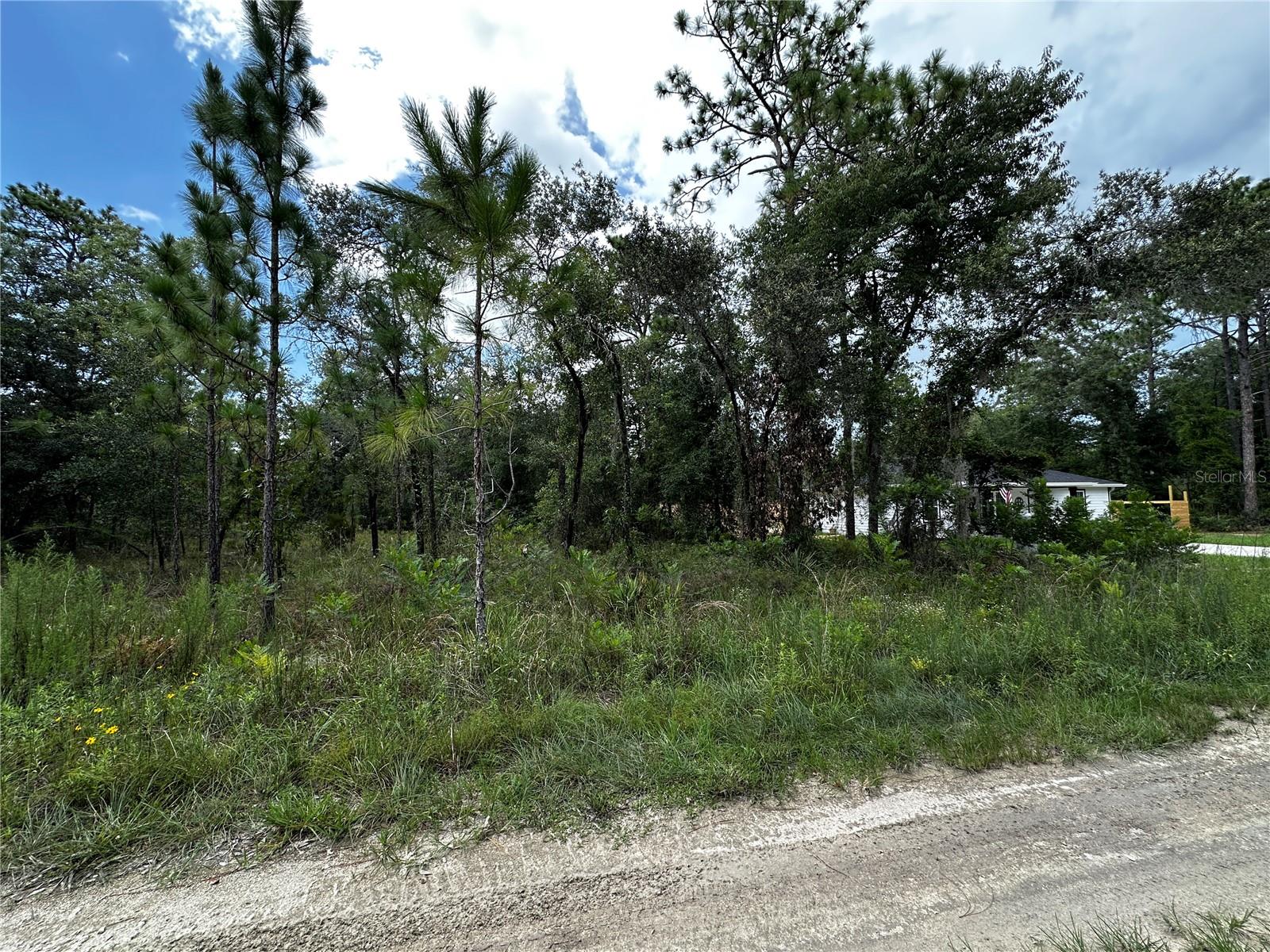 WILLISTON HYLNDS GOLF & C CLUB ESTATE - Land