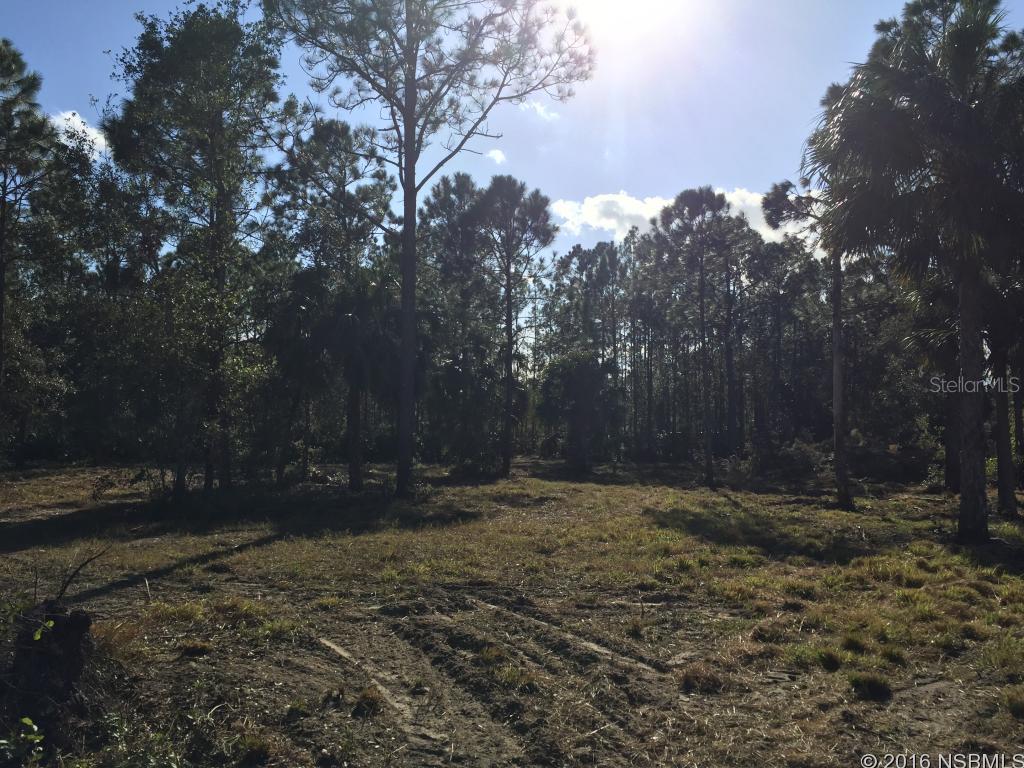 Build your dream home on 2.86 acres just 15 minutes from the beach.  This is a one of a kind high elevation lot that sits atop the Jane Lacey Aquifer.  It comes with a 115'/2" irrigation well hand pump.  The property has a small clear fresh water spring fed pond.  It is partially fenced with a metal gate.  Come take a look!; Cleared: Partial ;Water: Available at Site