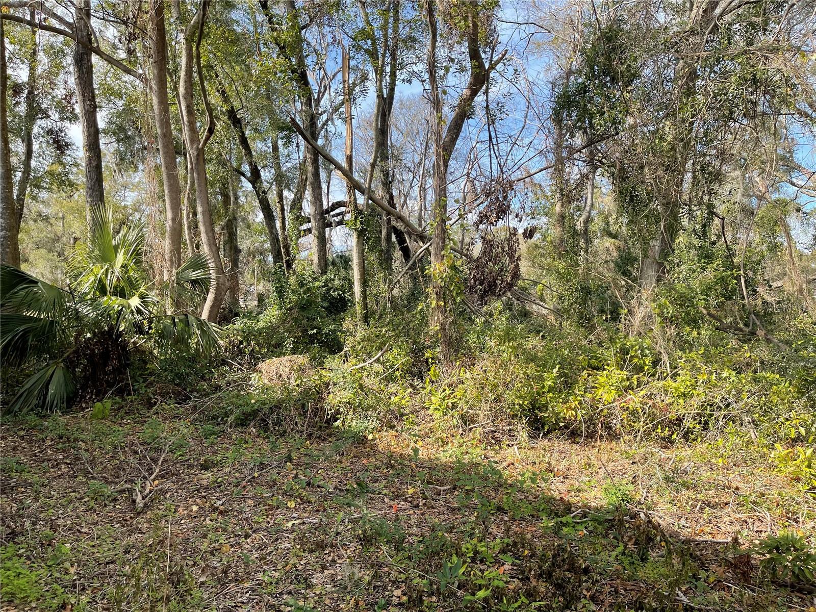 DOWNING-ALACHUA - Land