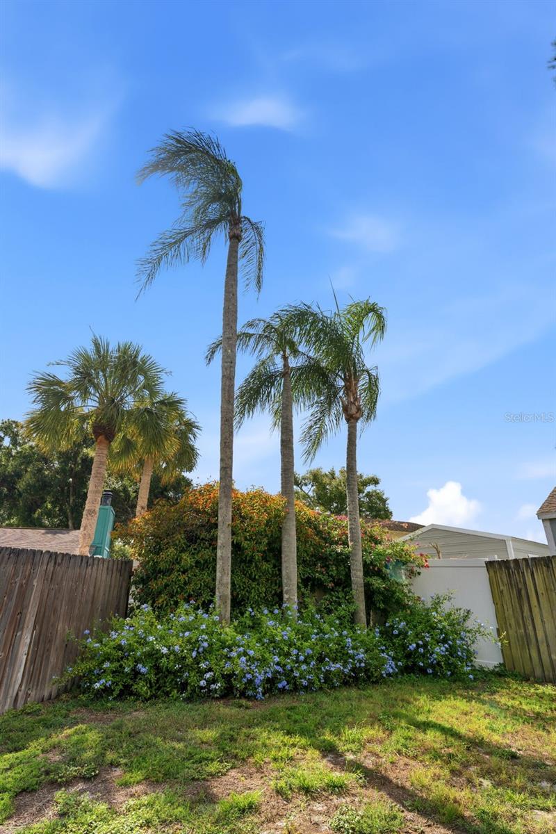 NORTHDALE SEC A UNIT 4 - Residential