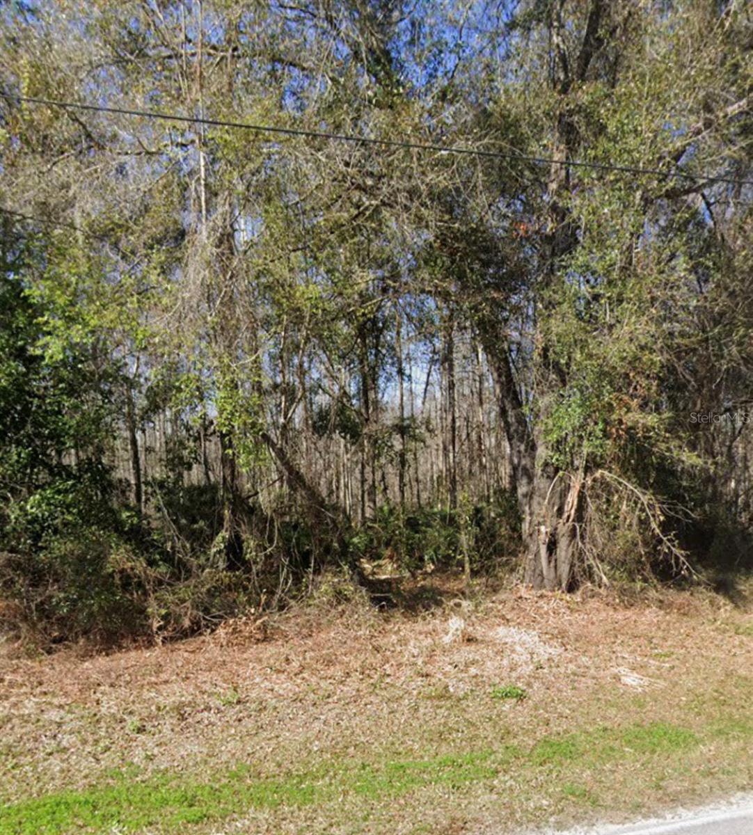 Discover the opportunity to build your vision on this vacant homesite located on Key Lime Drive in New Port Richey. Nestled in a quiet, established area near Moon Lake, this property offers a peaceful setting with a blend of natural surroundings and residential development ideal for those seeking privacy without sacrificing convenience.

With space to design your custom home, place a manufactured home, or invest for future growth, this lot provides flexibility to suit a variety of needs. Enjoy the laid-back Florida lifestyle with nearby outdoor recreation, including boating and fishing opportunities at Moon Lake, while still being within a reasonable drive to shopping, dining, and major roadways for easy commuting.

Whether you're looking to build now or hold for the future, this property presents a great opportunity in a growing area of Pasco County.