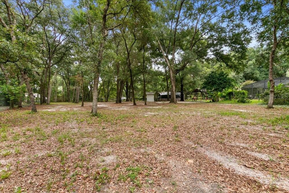 PONKAN PINES - Residential