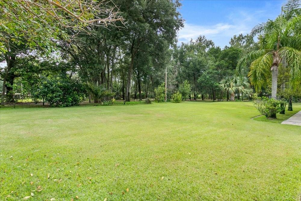 PONKAN PINES - Residential