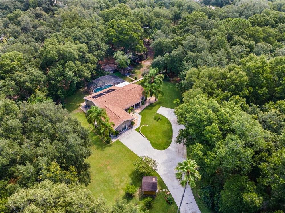 PONKAN PINES - Residential