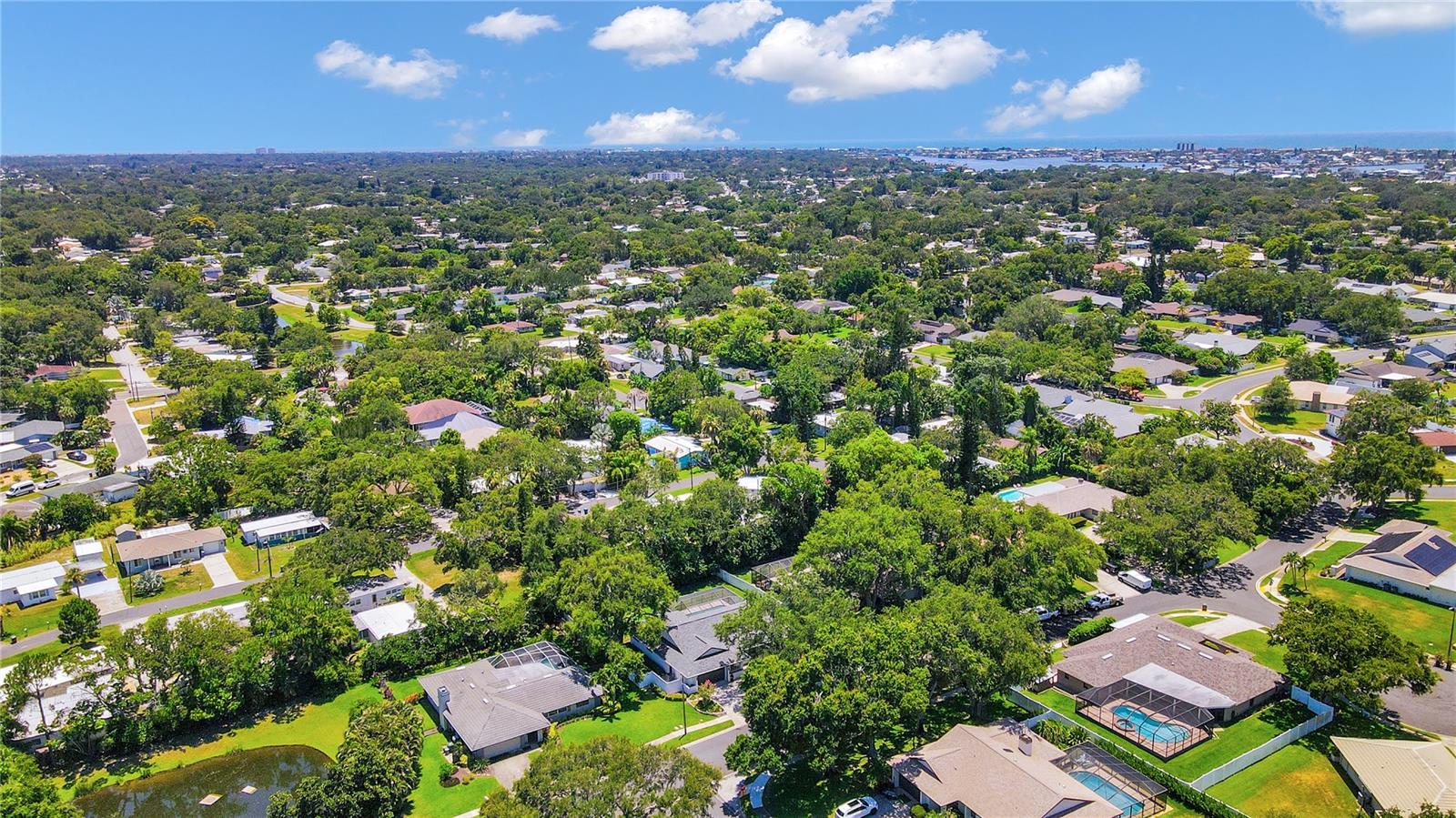 BLUFFS THE - Residential