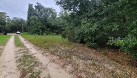 1.25-Acre Corner Lot in Bronson, FL – Affordable Land to Build Your Home or Mobile Home!
Great 1.25-acre corner lot in Bronson, Florida (Levy County, 32621) – one of the most still-affordable spots in North Central Florida for building a custom home or placing a mobile home. Zoned residential and ready to go.
Why this corner lot stands out:
Double road frontage for better access, visibility, and curb appeal
Flexible layout options: big driveway, wraparound yard, garden, garage, or future pool
Added privacy and open feel. Just 20-25 minutes to Gainesville (UF, shopping, hospitals), 35-40 minutes to Ocala, and close to Florida springs, rivers, and the Gulf. Enjoy quiet country living at a lower cost.
High and dry land, utilities nearby (buyer verify). Perfect for site-built or mobile/manufactured homes.
Own this spacious residential corner lot in Bronson, FL before prices rise. 
Contact today for details or to view!