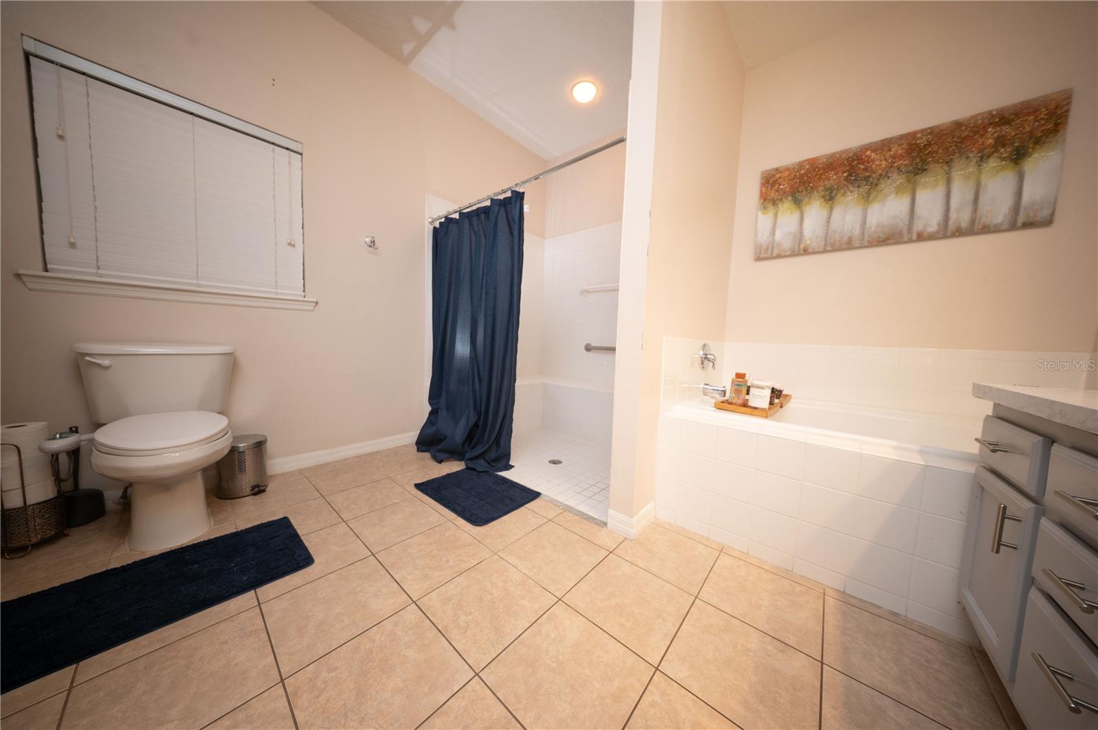 WYNDHAM POINTE - Residential