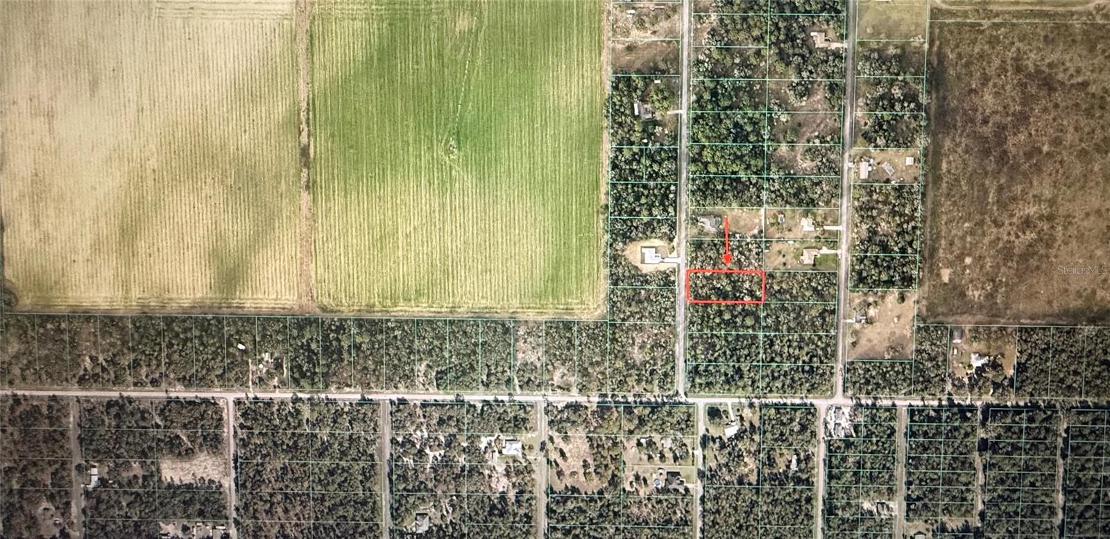 Build your DREAM HOME on this beautiful 1-acre lot in Dunnellon! 
Located on Southwest Valencia Heights Avenue in Rainbow Lakes Estates, this property offers an outstanding opportunity for homeowners and investors alike.
Situated in a non-flood zone, this lot has no HOA and no required timeframe to begin construction, giving you the flexibility to build when you're ready. According to county guidelines, the property may allow for a primary residence plus an additional guest or caretaker home, providing added versatility and long-term value.
This growing residential area continues to attract new development while maintaining a peaceful, rural atmosphere. Conveniently located near shopping, dining, and everyday necessities, including major retailers and grocery stores, the property is also just 20 minutes from the renowned World Equestrian Center, a premier destination for equestrian events and activities.
Enjoy the natural beauty of Central Florida, with nearby rivers, springs, and outdoor recreation opportunities. Whether you're looking to build your forever home, a seasonal retreat, or make a smart land investment, this 1-acre parcel offers exceptional potential in a rapidly growing area.
Don't miss the chance to own a spacious homesite in one of Central Florida's expanding communities!