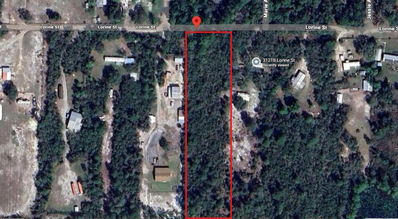 WOW – a great opportunity! Approx. 2.5 acres of beautifully wooded land with a cleared homesite, offering privacy and room to spread out. Agricultural zoning allows horses and other farm animals. Located within the highly regarded Lake County school district with convenient access to DeLand and the St. Johns River. Just minutes from the Ocala National Forest, making this an ideal setting for outdoor and nature enthusiasts. Enjoy a peaceful, rural atmosphere while being only 20 minutes to downtown DeLand and Walmart, and about 30 minutes to the Eustis area. This is one of the most affordable acreage properties currently available in the area, making it a smart choice for both homeowners and investors. Conventional and manufactured homes permitted. Don’t miss out—call today!