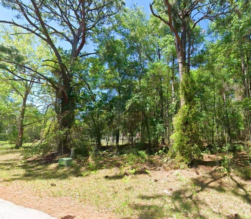 Build your dream home on this beautiful 1-acre corner lot in the heart of Lecanto! Located at 2581 W Pharaoh Ct, this spacious property offers the perfect blend of privacy, peace, and convenience with plenty of room for your custom home, workshop, RV, or toys. Surrounded by nature and upscale homes, you’ll enjoy quick access to shopping, dining, golf, medical facilities, and Florida’s famous outdoor recreation. Just minutes from Black Diamond Ranch, Shoppes at Black Diamond, Lecanto Park, and the scenic Crystal River Preserve State Park. A rare opportunity to own a prime corner parcel in one of Citrus County’s most desirable growing areas!