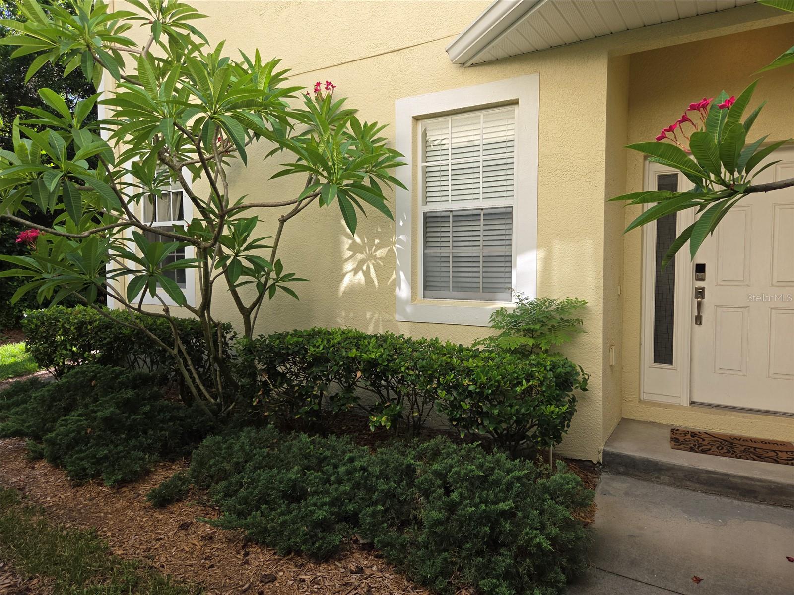 TARPON HIGHLANDS LAKE TARPON SAIL TENNIS CLUB - Residential
