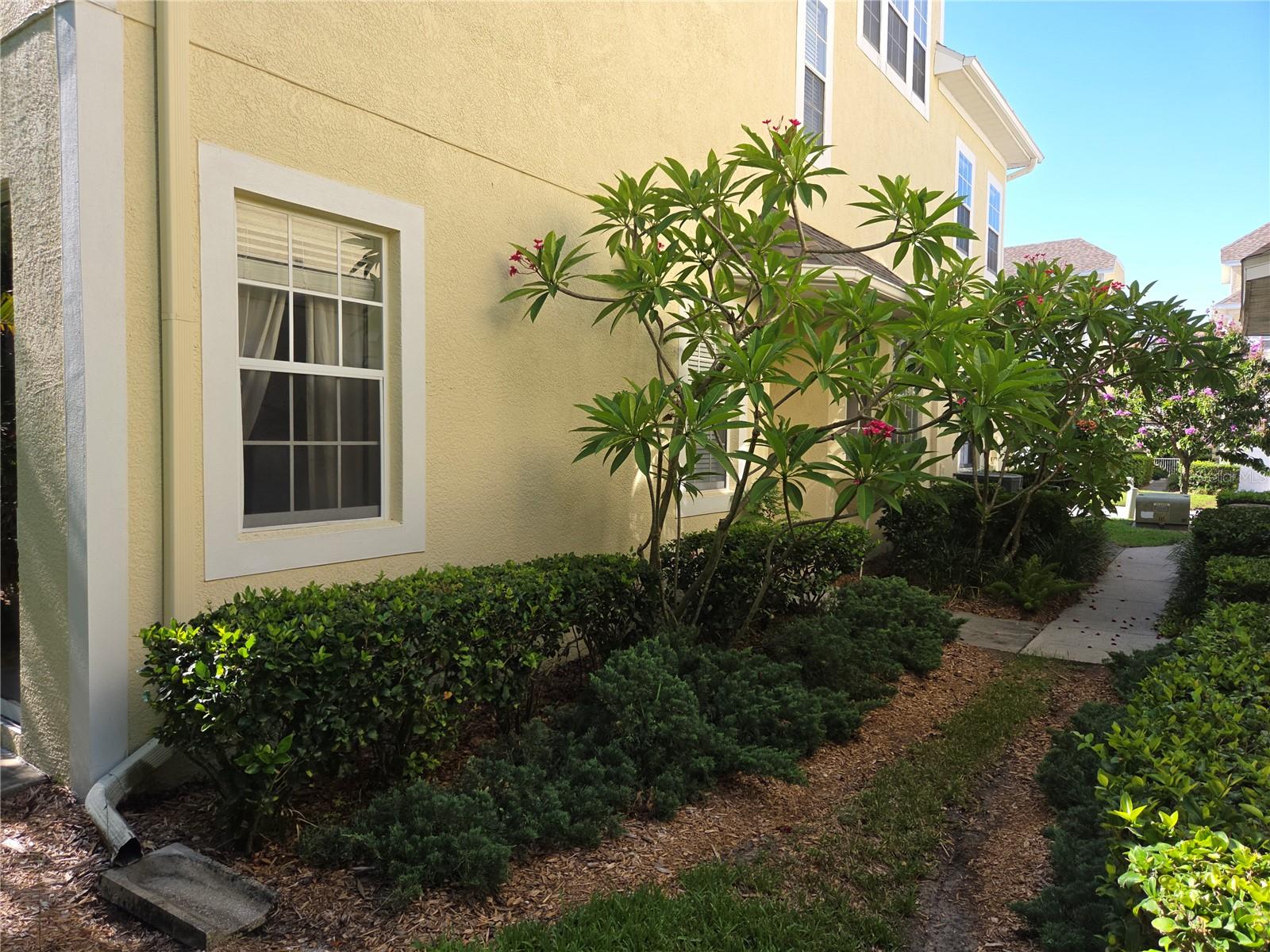 TARPON HIGHLANDS LAKE TARPON SAIL TENNIS CLUB - Residential