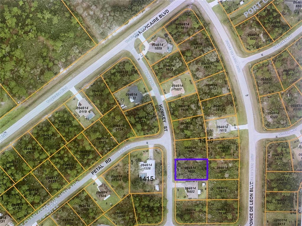 Build your dream home in this quiet neighborhood. No deed restrictions or HOA fees. Excellent location, peaceful neighborhood, minutes from I-75 & Tamiami Trail! Convenient to Florida’s best beaches, golfing, public boat ramps, marinas, shopping, physicians, water park, Tamp Bay Rays & Atlanta Braves Spring Training Stadium, Historic Riverfront Downtown Punta Gorda & Fishermen’s Village, and a short drive to Sanibel, Venice, Fort Myers, and Boca Grande, etc. All information deemed reliable, but not guaranteed; buyer to confirm all.