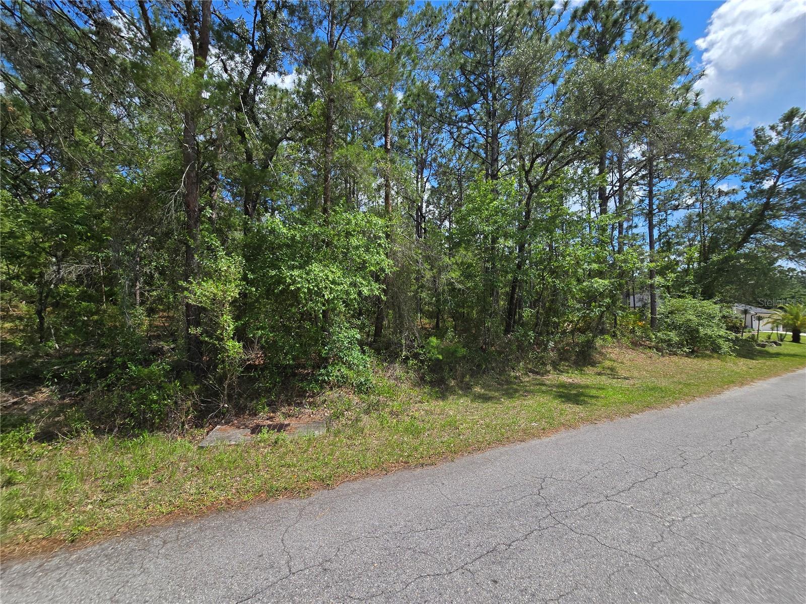 SUGARMILL WOODS OAK VILLAGE - Land
