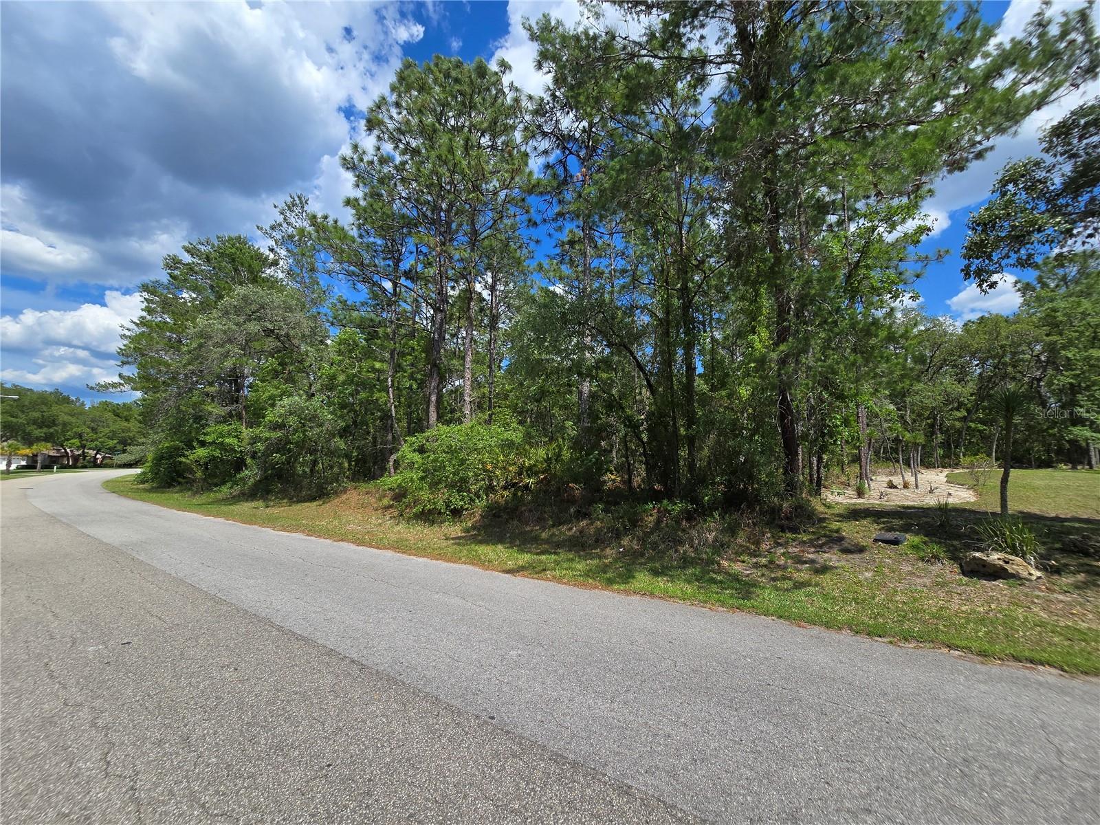 SUGARMILL WOODS OAK VILLAGE - Land