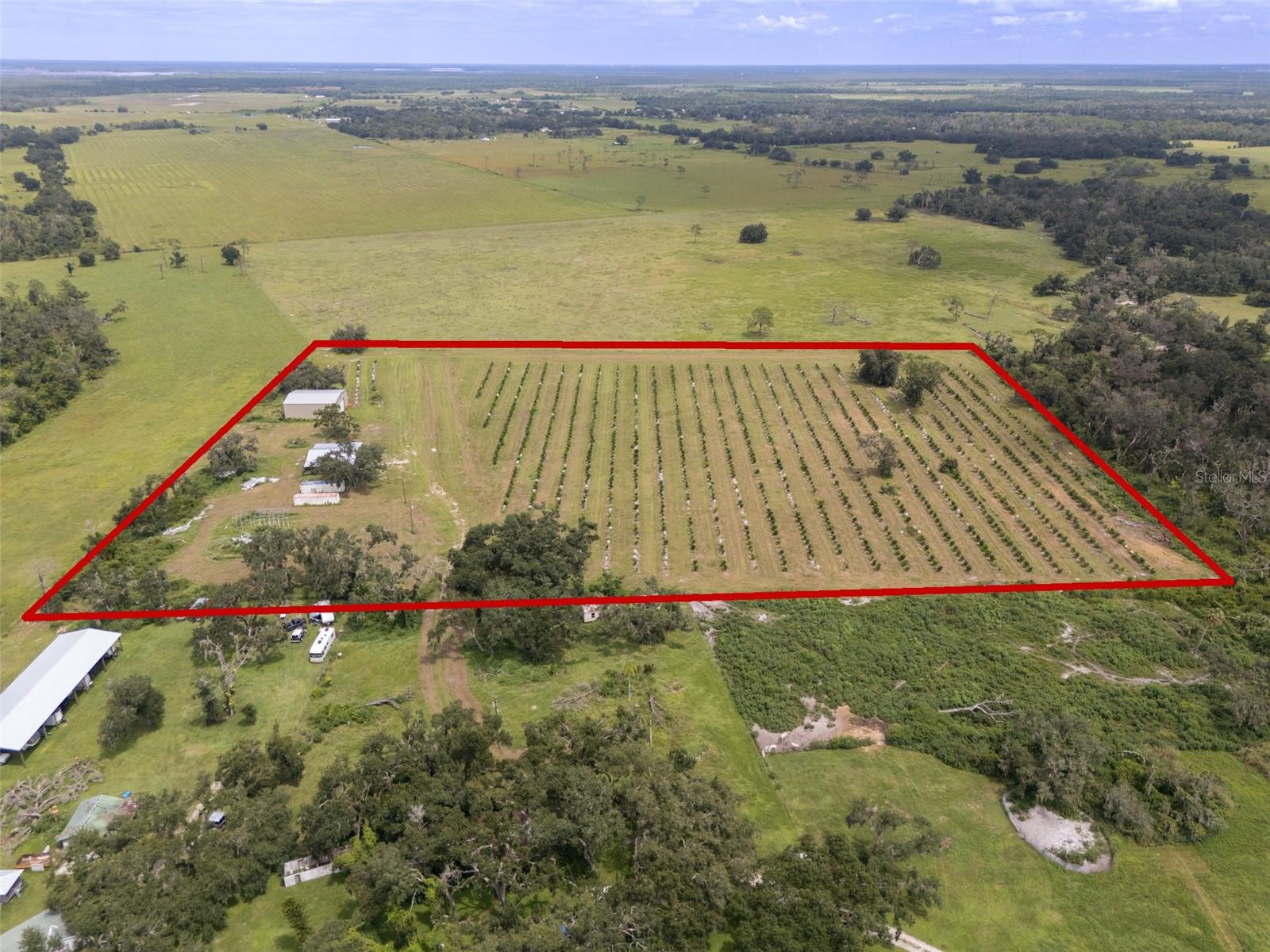 Established Orange Grove & Barndominium. Discover this beautifully maintained Myakka City agricultural property featuring an established citrus grove of approximately 1,500+ orange trees now reaching harvest stage. Nearly all usable land with AG exemption and low taxes. The modern 60x40 barndominium offers approx. 1,000 sq. ft. of living space (2 bed / 3 baths) plus large storage and equipment areas. Property includes two wells, septic, electric, and internet, irrigation across the entire property, along with Kubota tractor, ATV, and attachments. Zoning allows horses, cattle, and farming uses. High and dry for Myakka City with deeded road access and about 15 miles to I-75. Perfect for those seeking a turn-key farmstead or future income-producing grove with modern living convenience or other potential business opportunities.