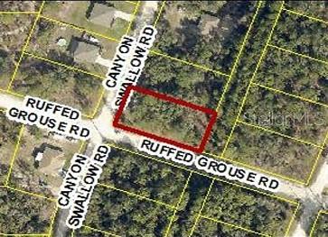 Discover the perfect opportunity to build your dream home on this spacious 0.46-acre CORNER vacant lot in the desirable Royal Highlands community of Weeki Wachee! Nestled in a peaceful, up-and-coming area, this oversized homesite offers plenty of room for your custom build, outdoor living space, and more—without the constraints of HOA fees.

Enjoy the best of Florida’s Nature Coast with nearby attractions like the crystal-clear waters of Weeki Wachee Springs State Park, where you can kayak, paddleboard, or take in the famous live mermaid shows. Conveniently located just a short drive from Spring Hill for shopping, dining, and everyday essentials, while still offering a quiet, rural feel.

Whether you’re looking to build now or invest for the future, this nearly half-acre lot provides flexibility, privacy, and excellent potential in a growing area. Don’t miss your chance to own a piece of Florida paradise!