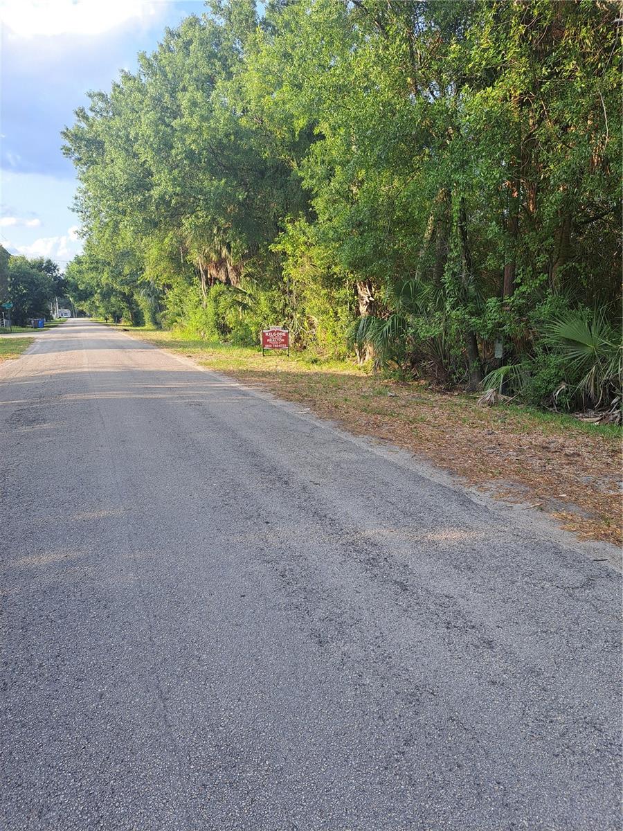 21.67 Acres / Ideal for Single Family/Development/ Builders , County Water at property and Sewer is not far away ,  
Great location in South Hillsborough County