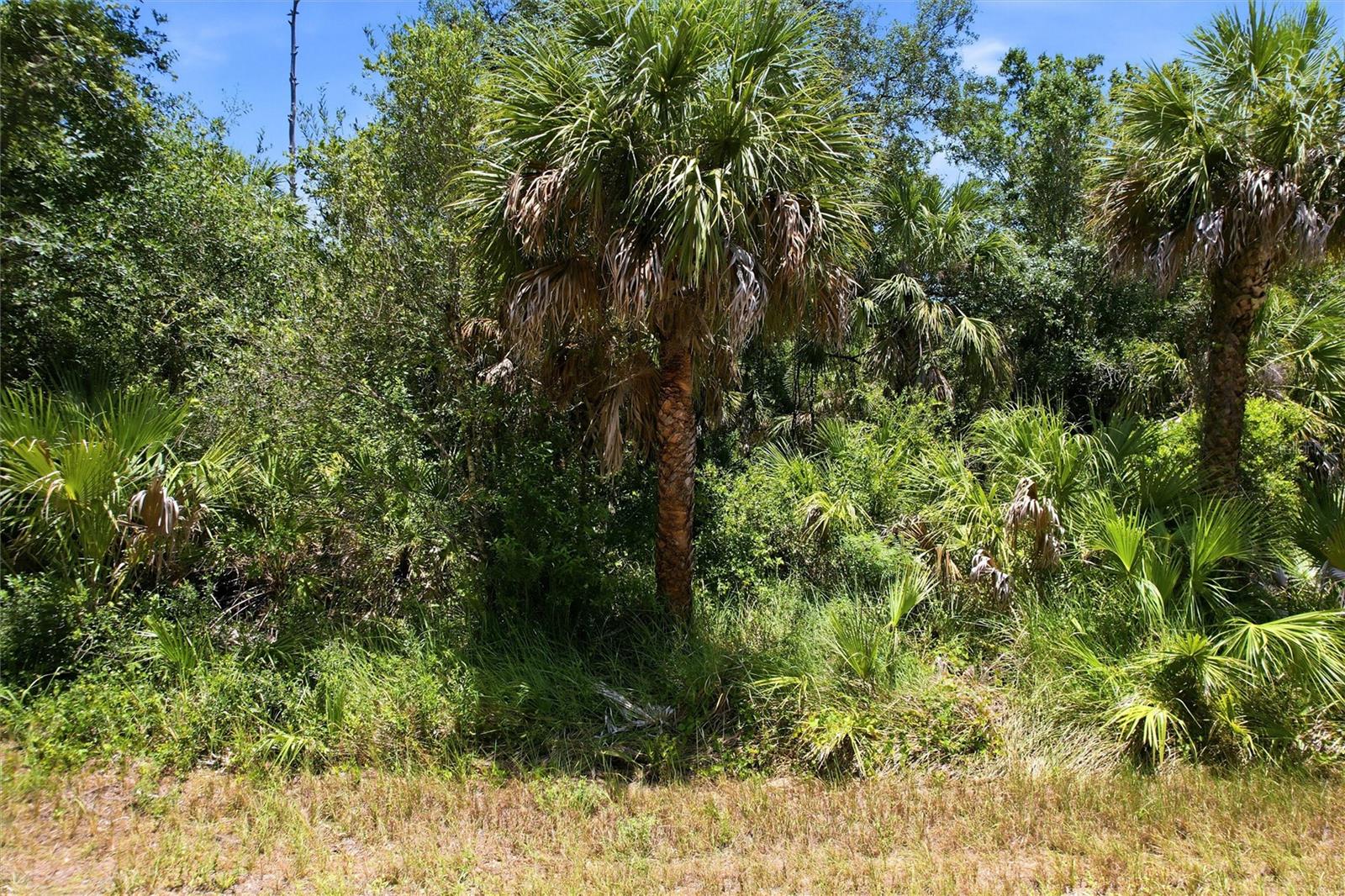 PORT CHARLOTTE SEC 014 - Land