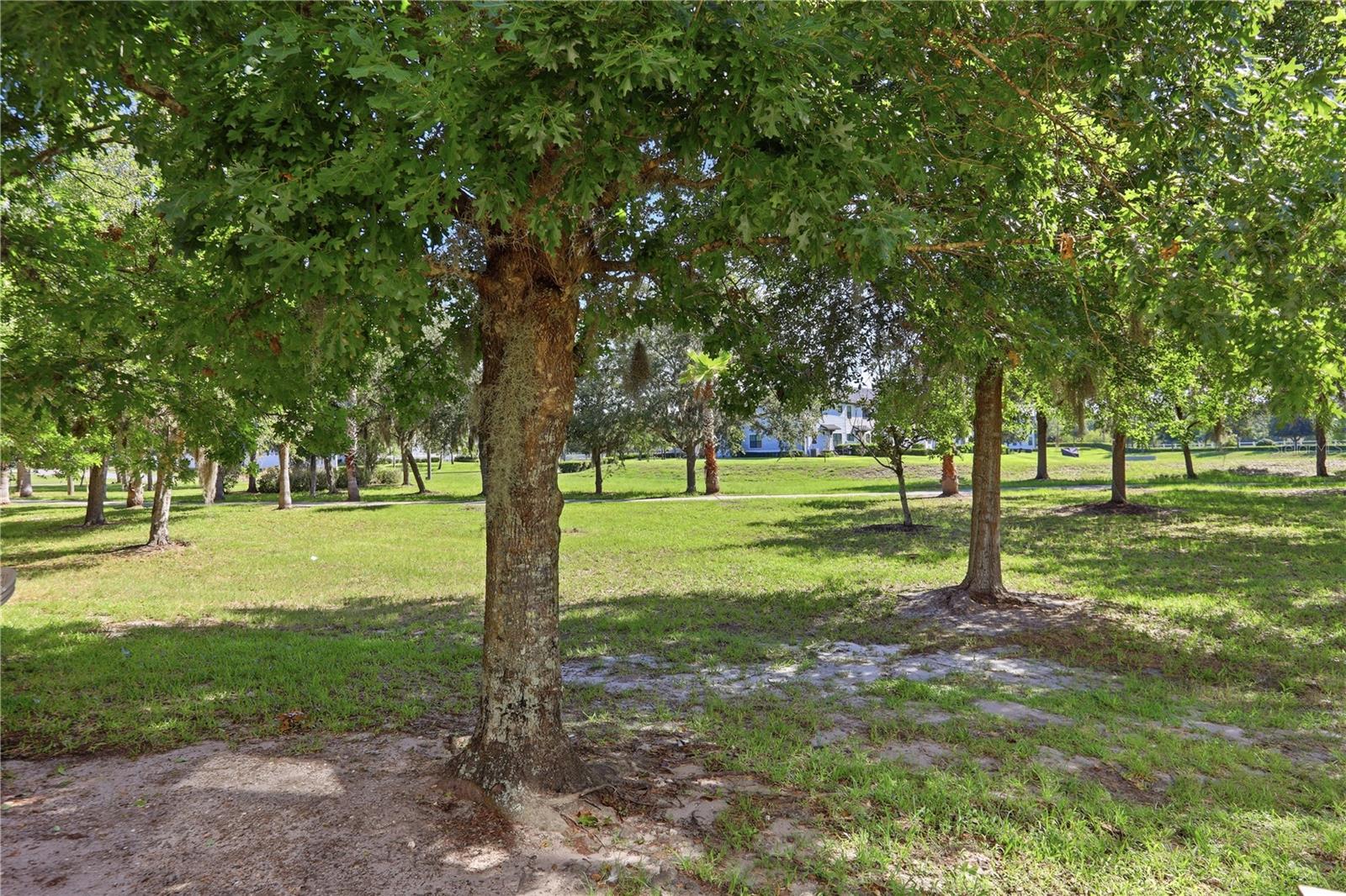 MOSS PARK COMMONS - Residential