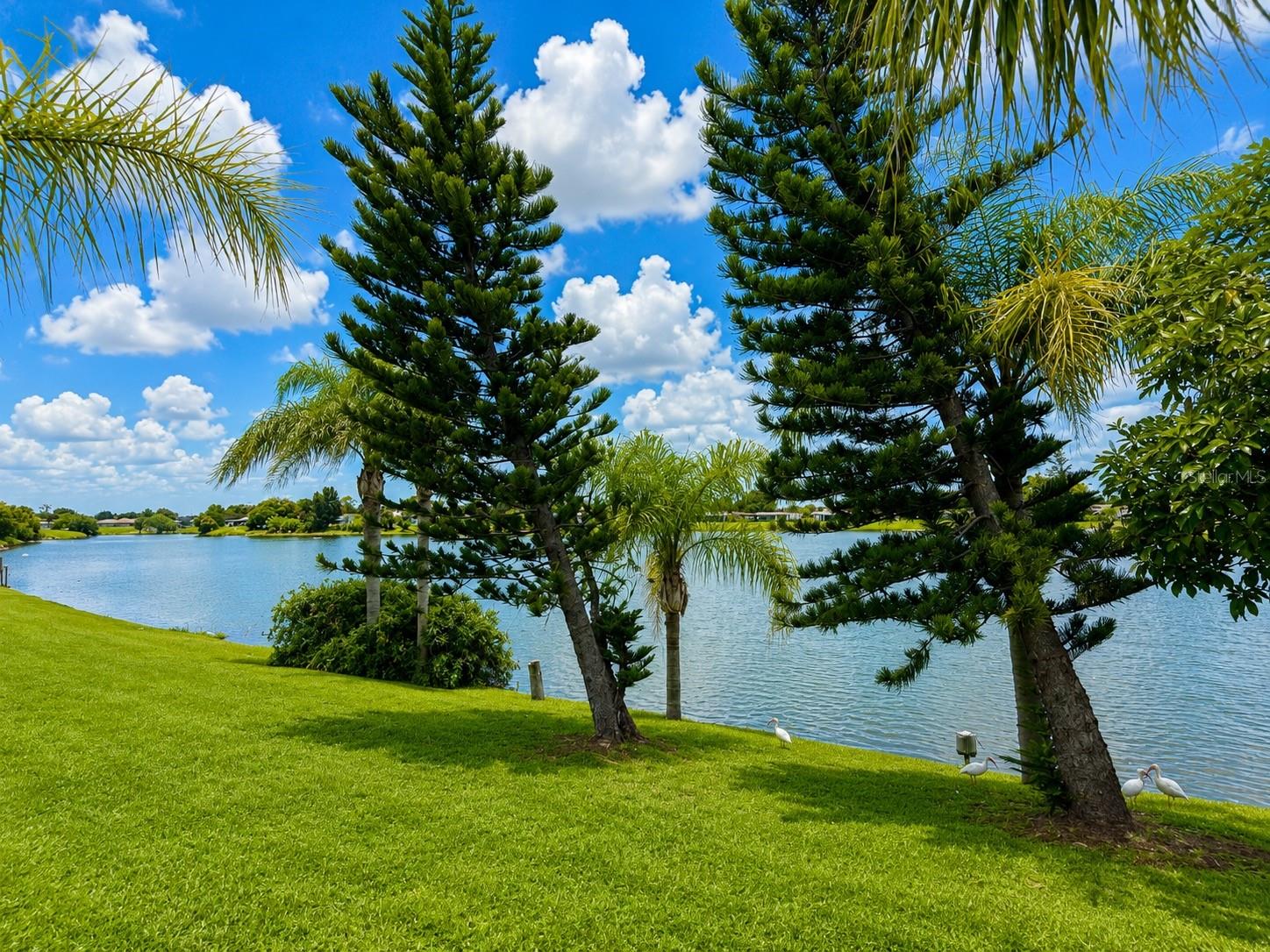 PORT CHARLOTTE SEC 45 REV - Residential