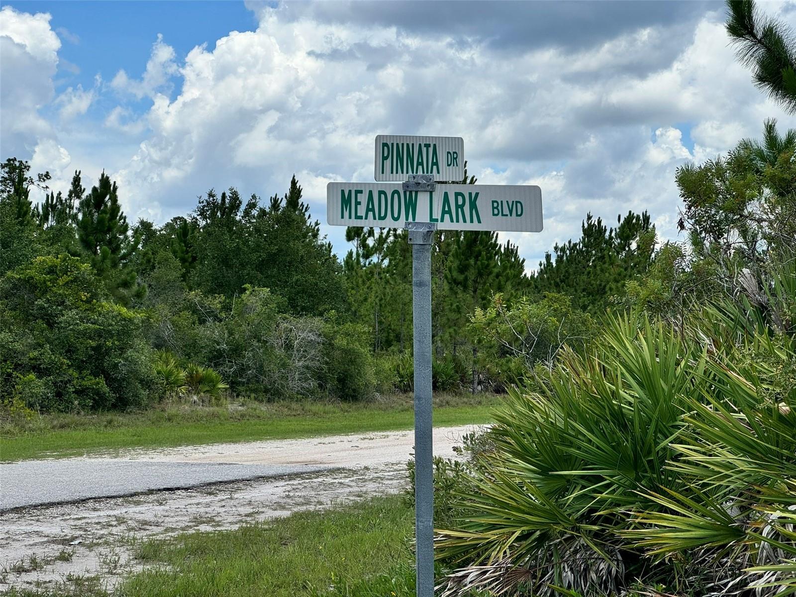 INDIAN LAKE ESTATES - Land