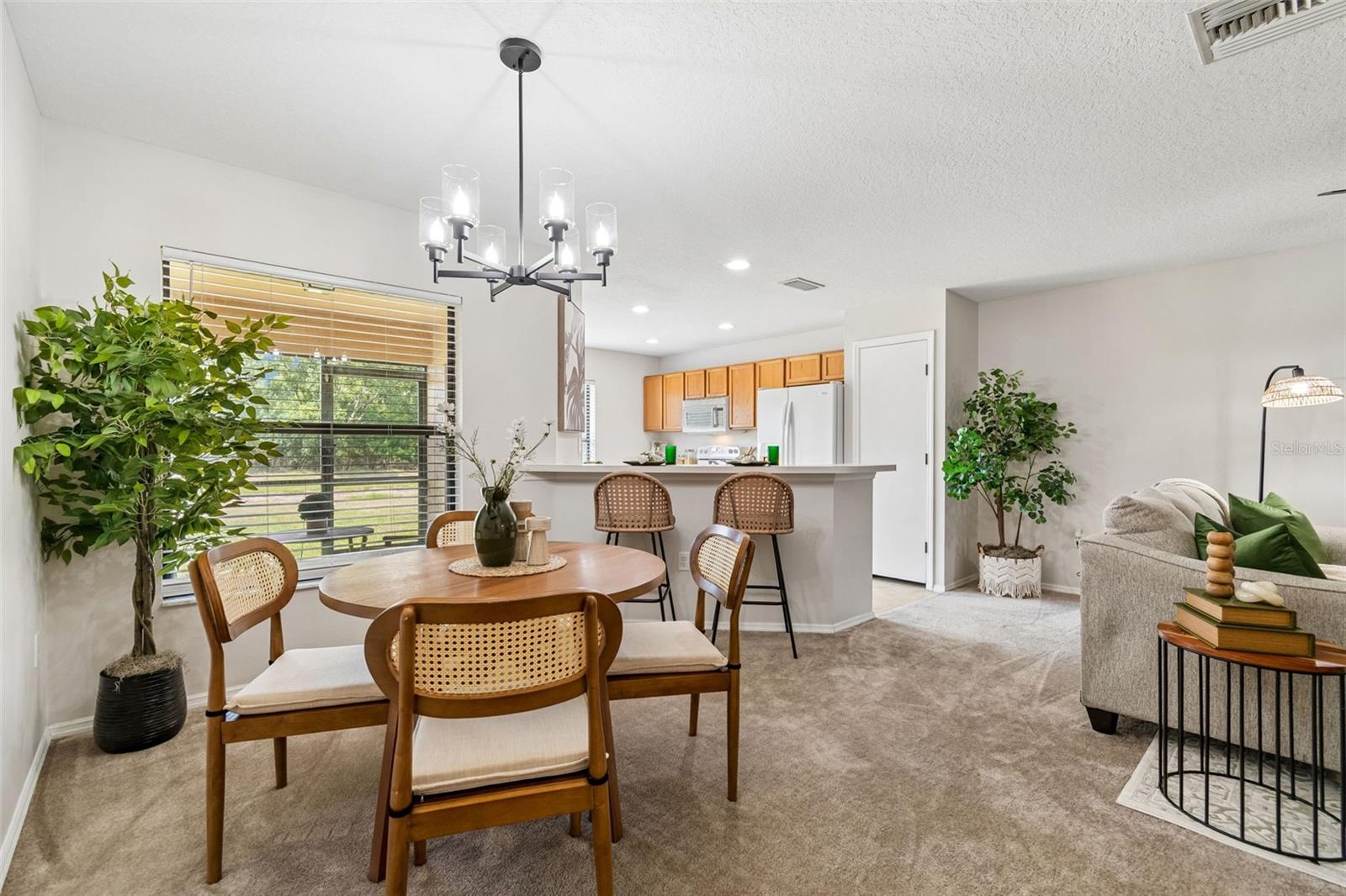 EDGEWATER AT LAKE BRANDON - Residential
