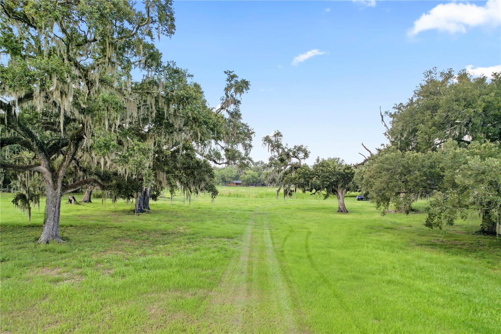ACREAGE - Residential