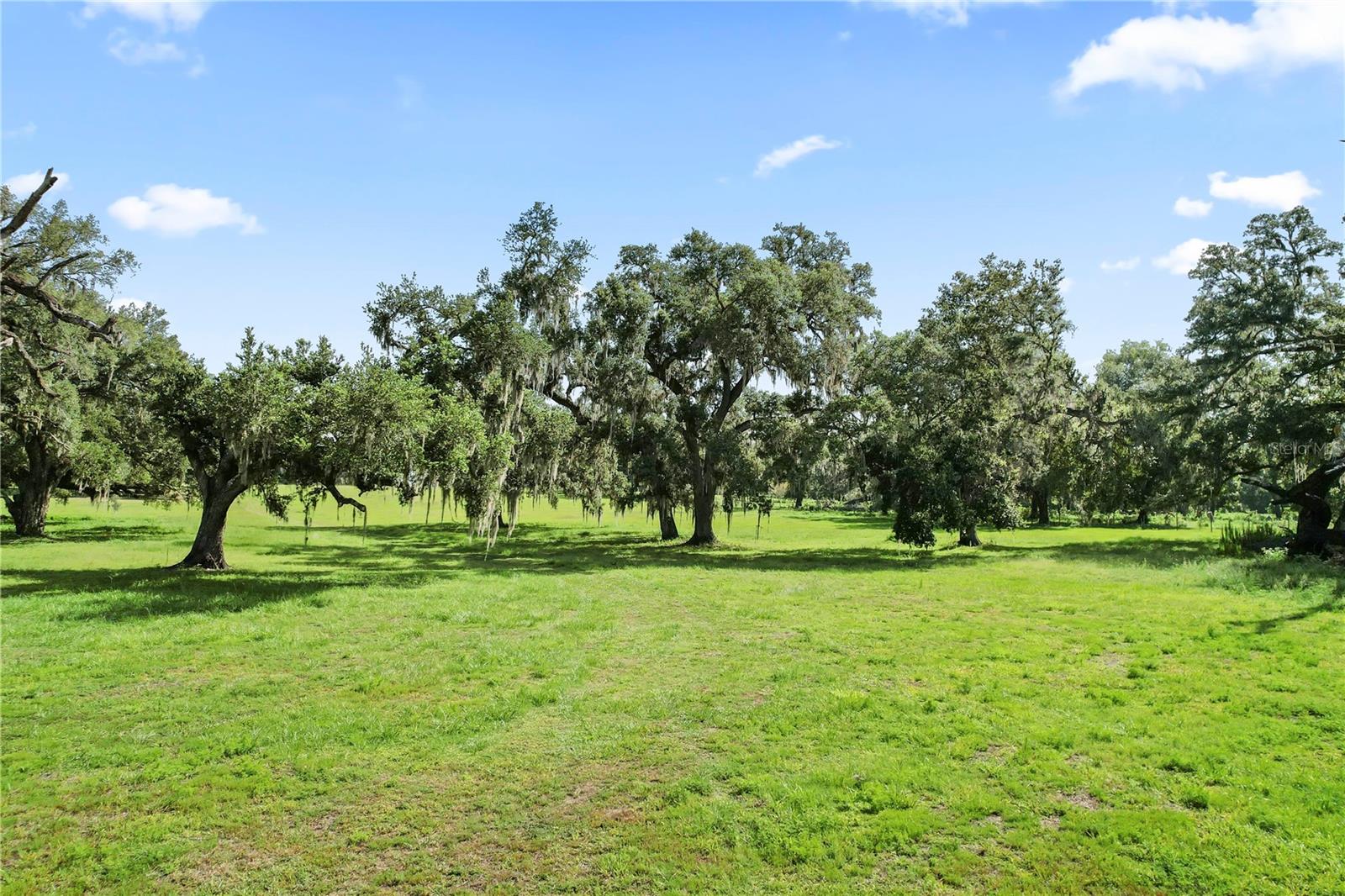 ACREAGE - Residential