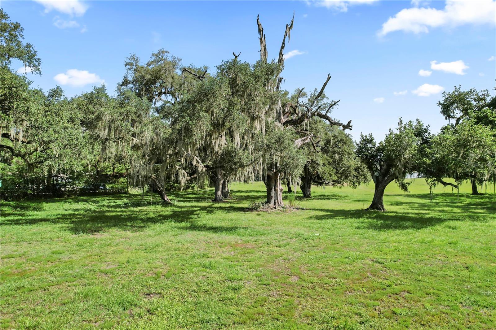 ACREAGE - Residential