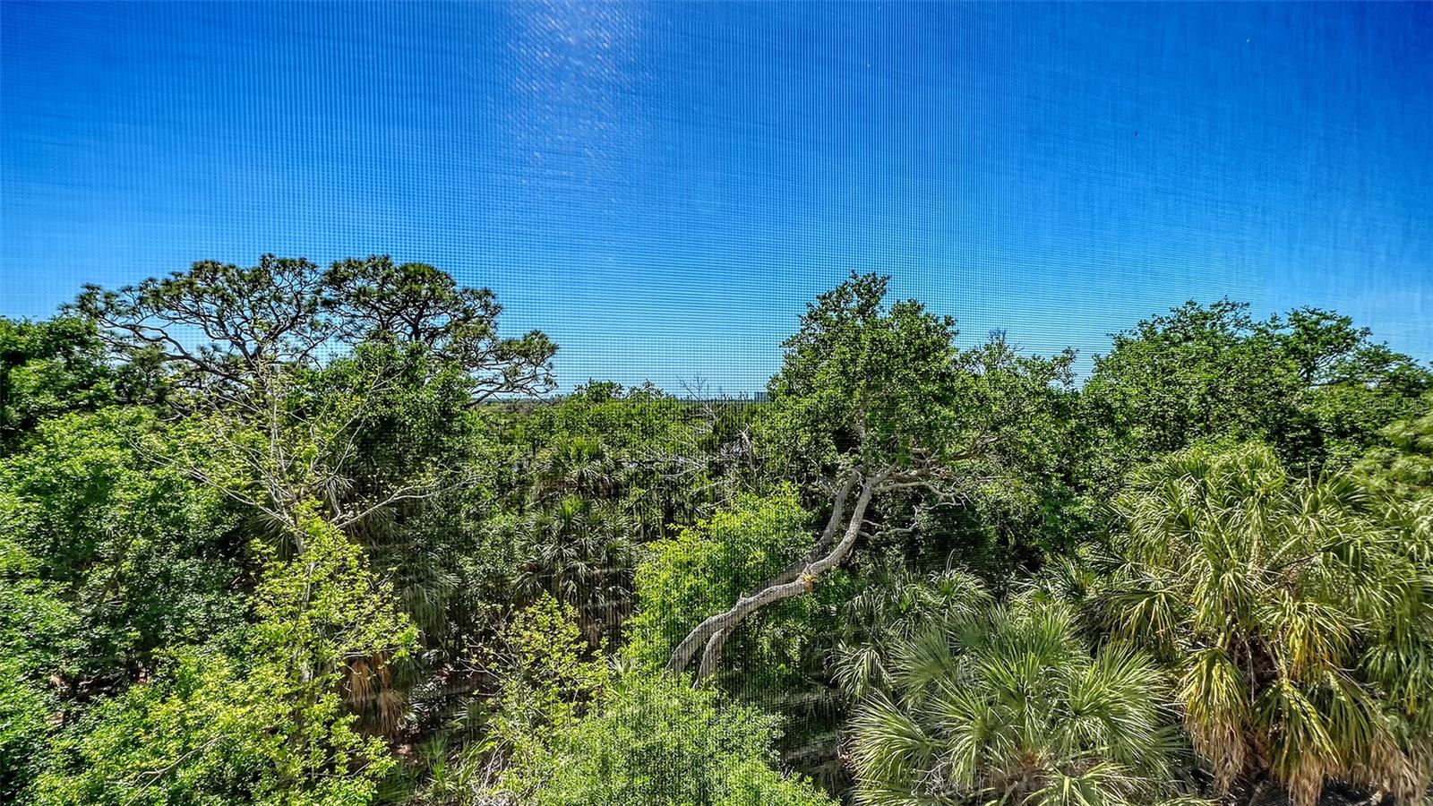 MERIDIAN AT THE OAKS PRESERVE - Residential