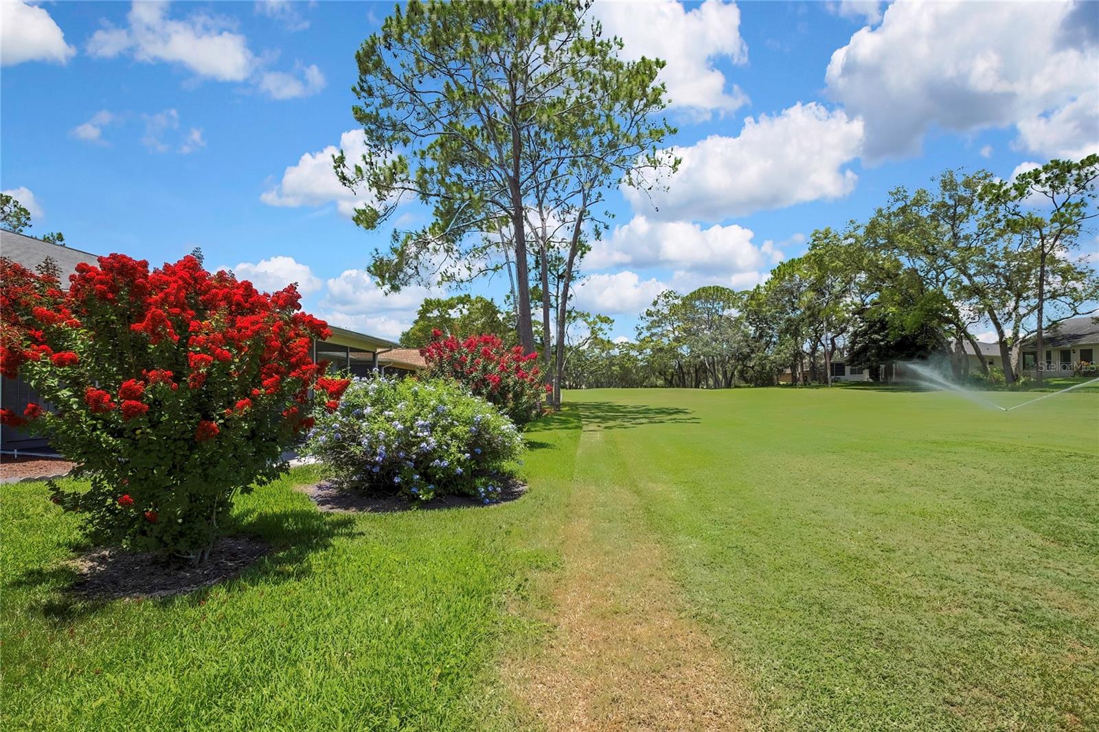 TIMBER PINES - Residential