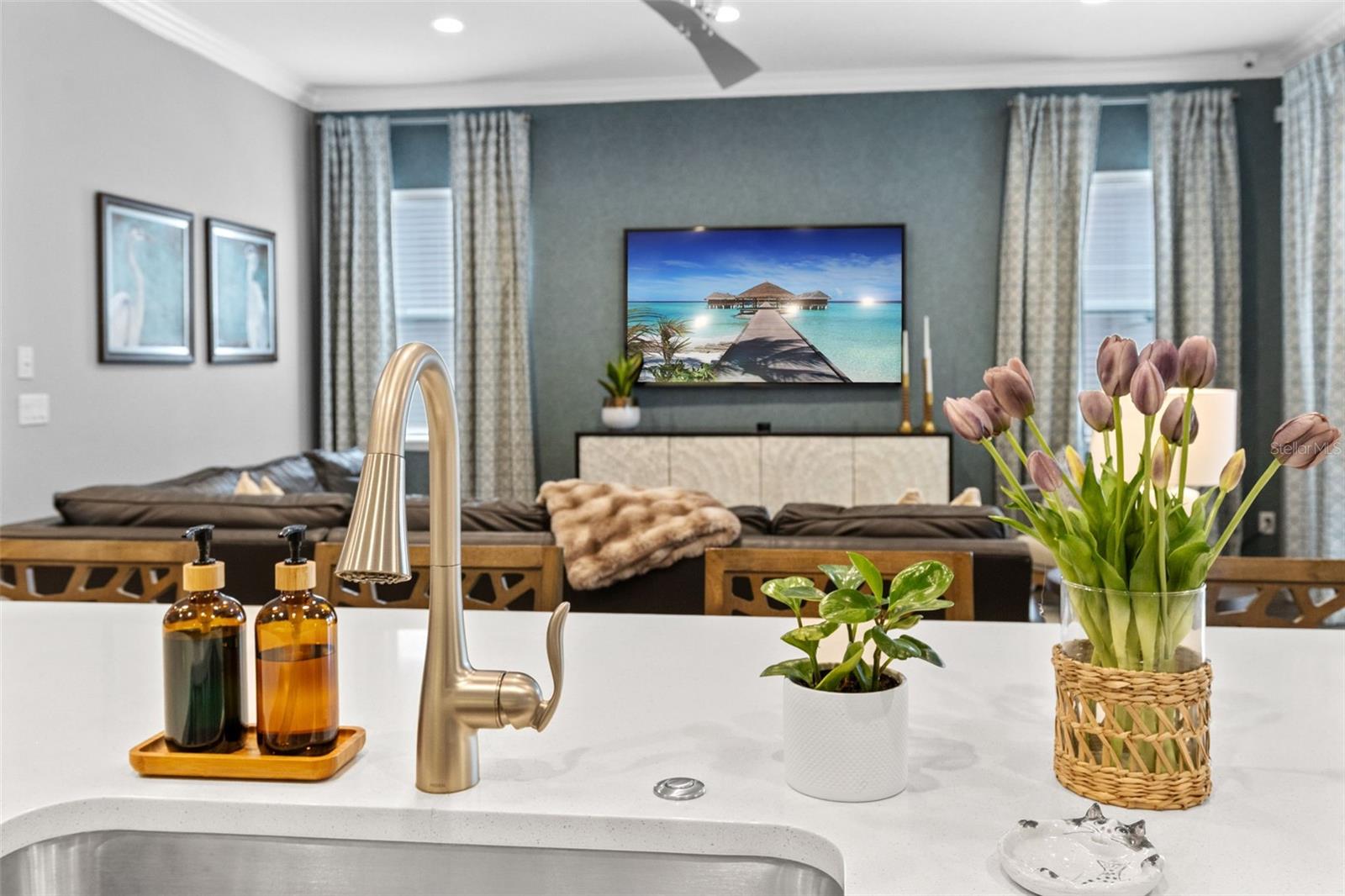 LAKE FLORENCE PRESERVE - Residential