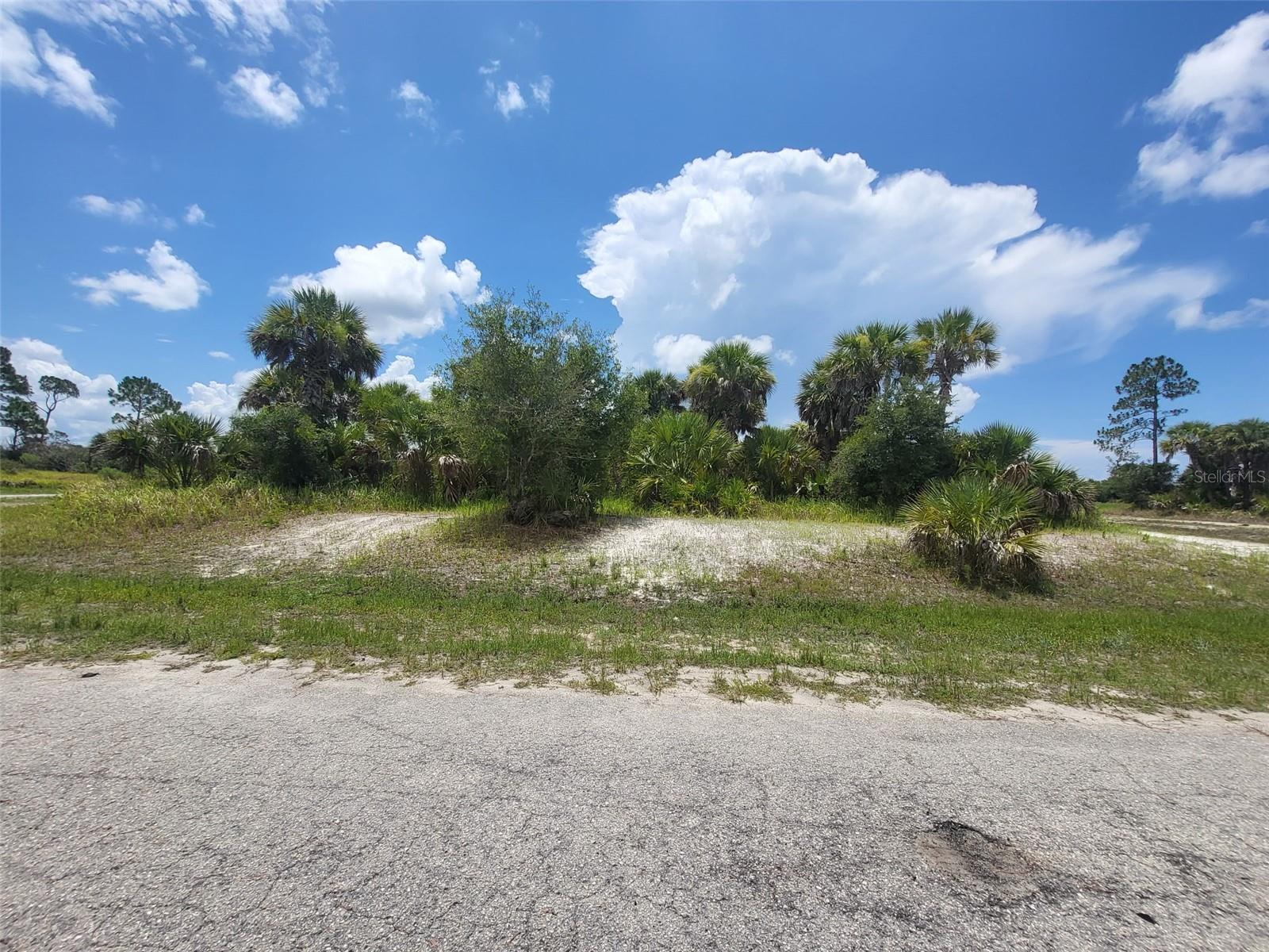 PRICED TO SELL! Build your dream home on this beautiful, oversized lot in one of Southwest Florida’s fastest-growing communities! Perfectly positioned for an easy commute to both Sarasota and Fort Myers, North Port offers the ultimate Florida lifestyle. Enjoy top-tier community highlights close by, including the Atlanta Braves Spring Training Stadium, the CoolToday Park water park, vibrant shopping, dining, and numerous public parks. Best of all, you are within 30 minutes of pristine Gulf Coast beaches. Build a home, use for storage, the possibilities are endless. Don't wait on this nice piece of real estate—drive by and see it today!