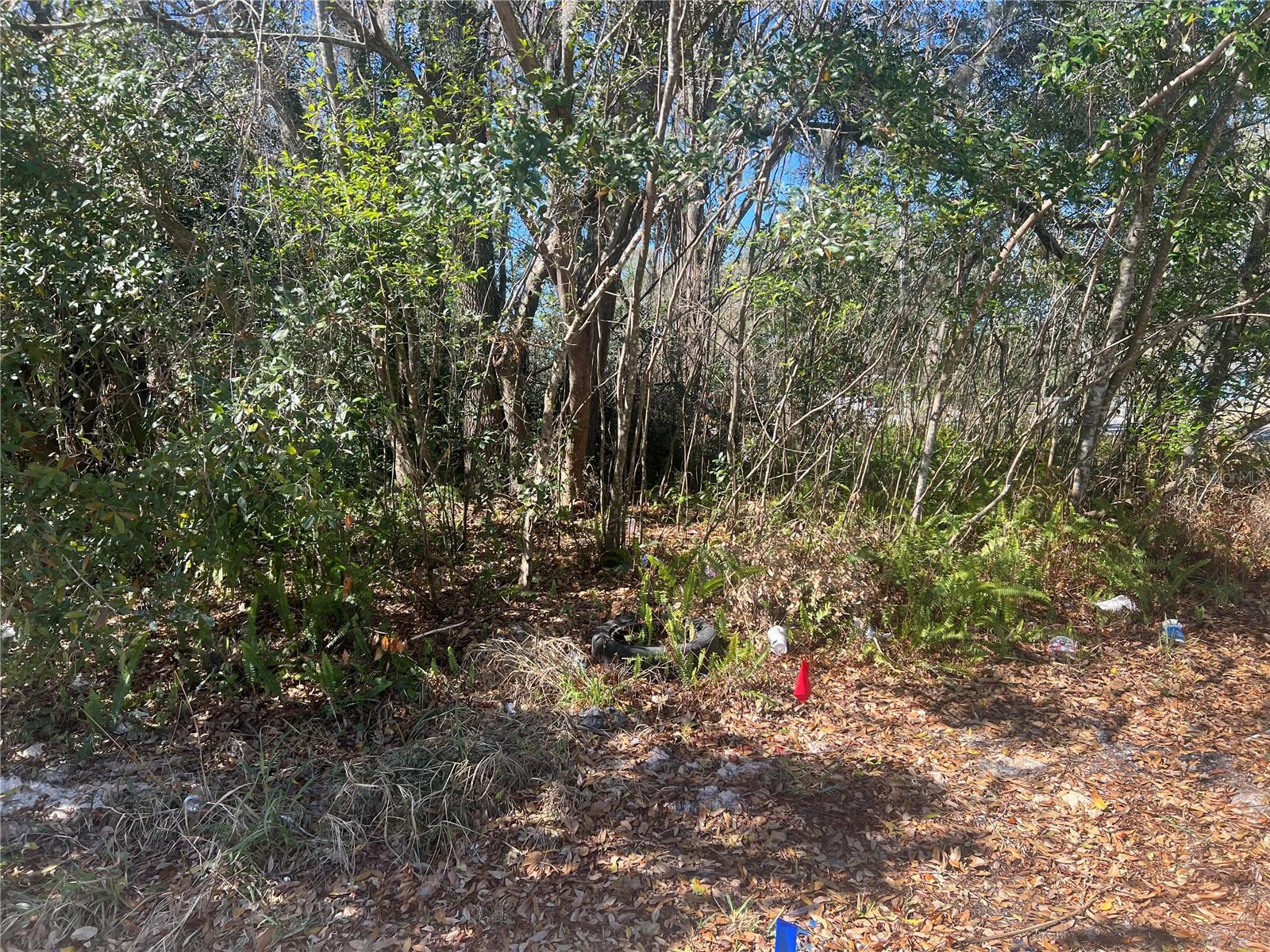No HOA or CDD.  Bring your own builder!  Purchaser to confirm utilities with the municipality. There is another parcel available across the street which is approx. 1.3 acres as well.  See MLS #G5108785